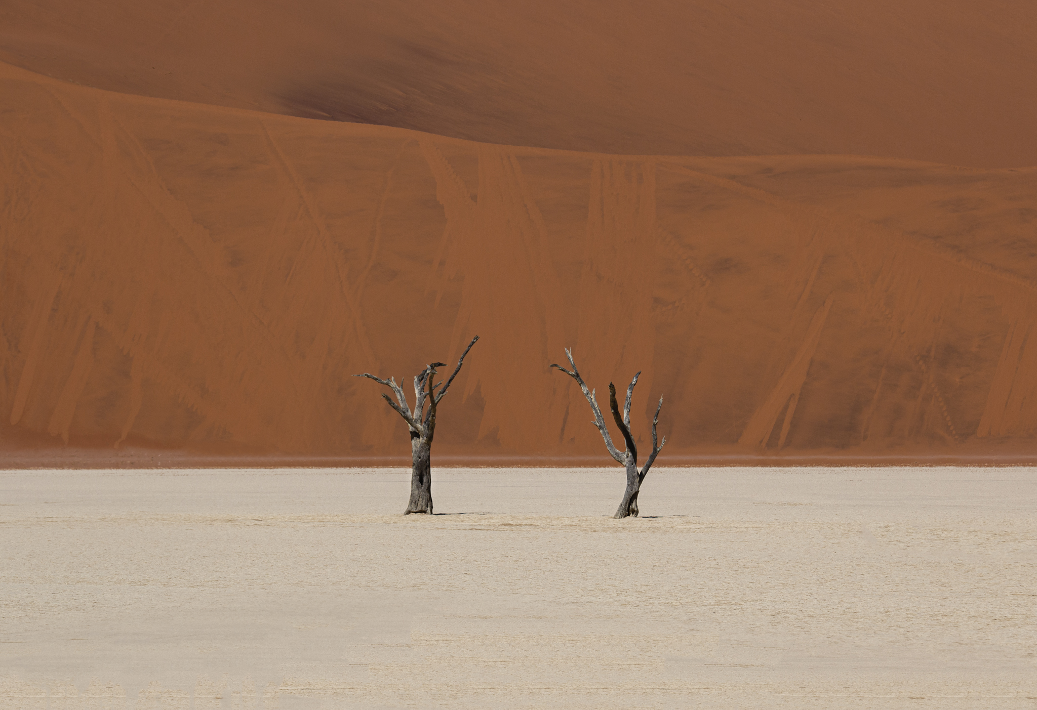 Deadvlei