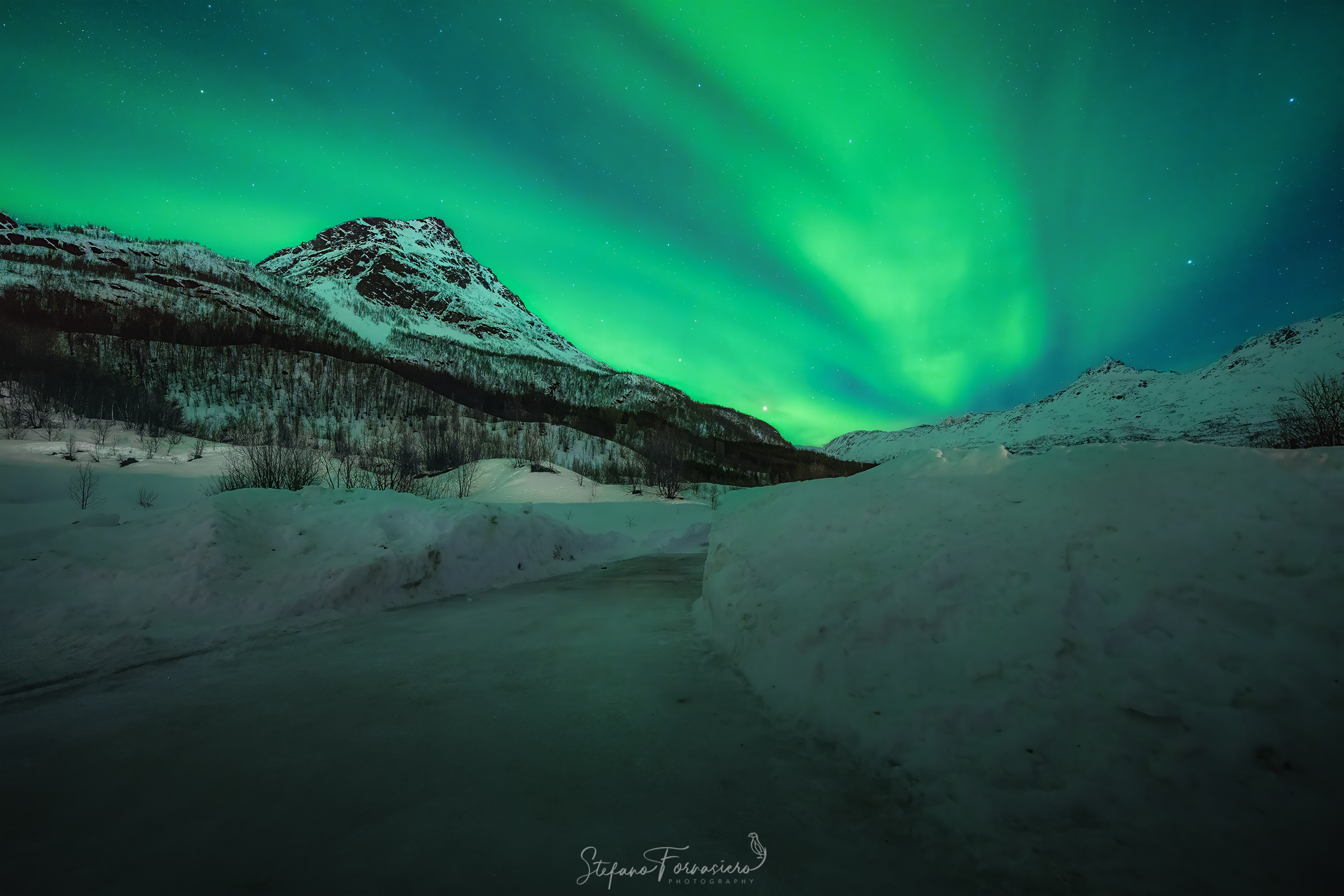 Laksvatn Northern Lights