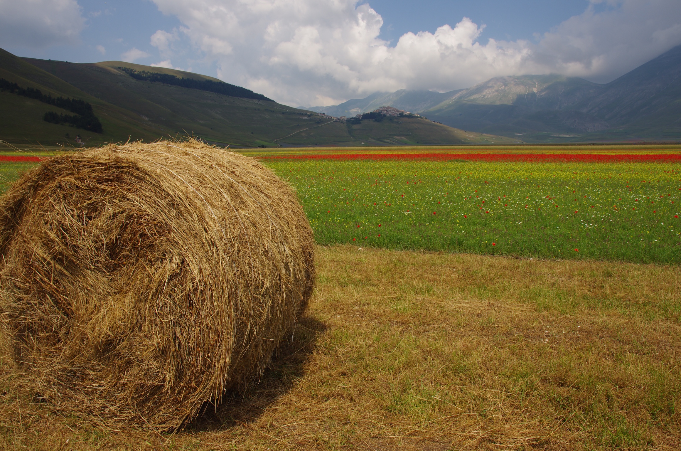 Castelluccio di Norcia