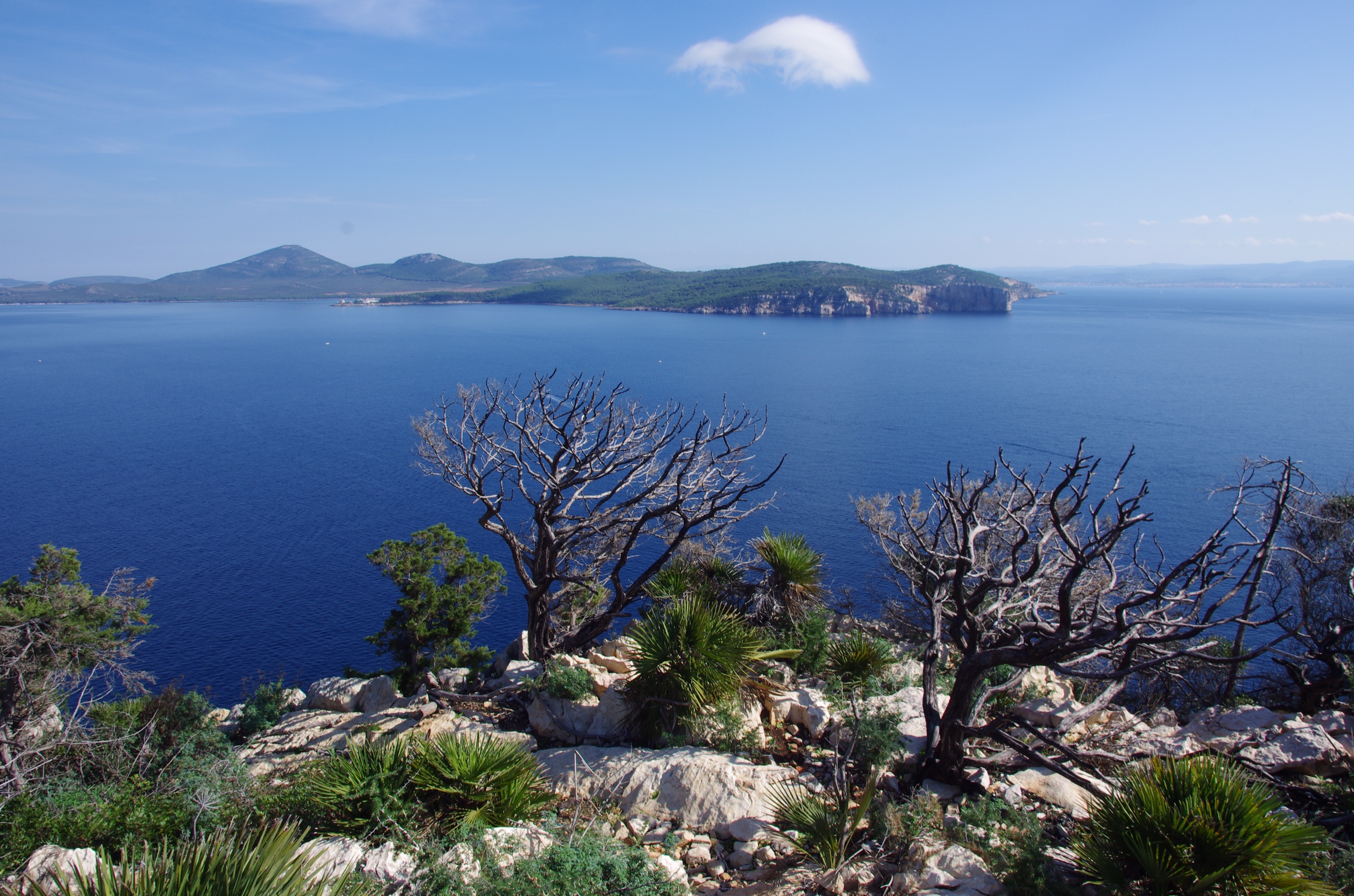 Capo Caccia