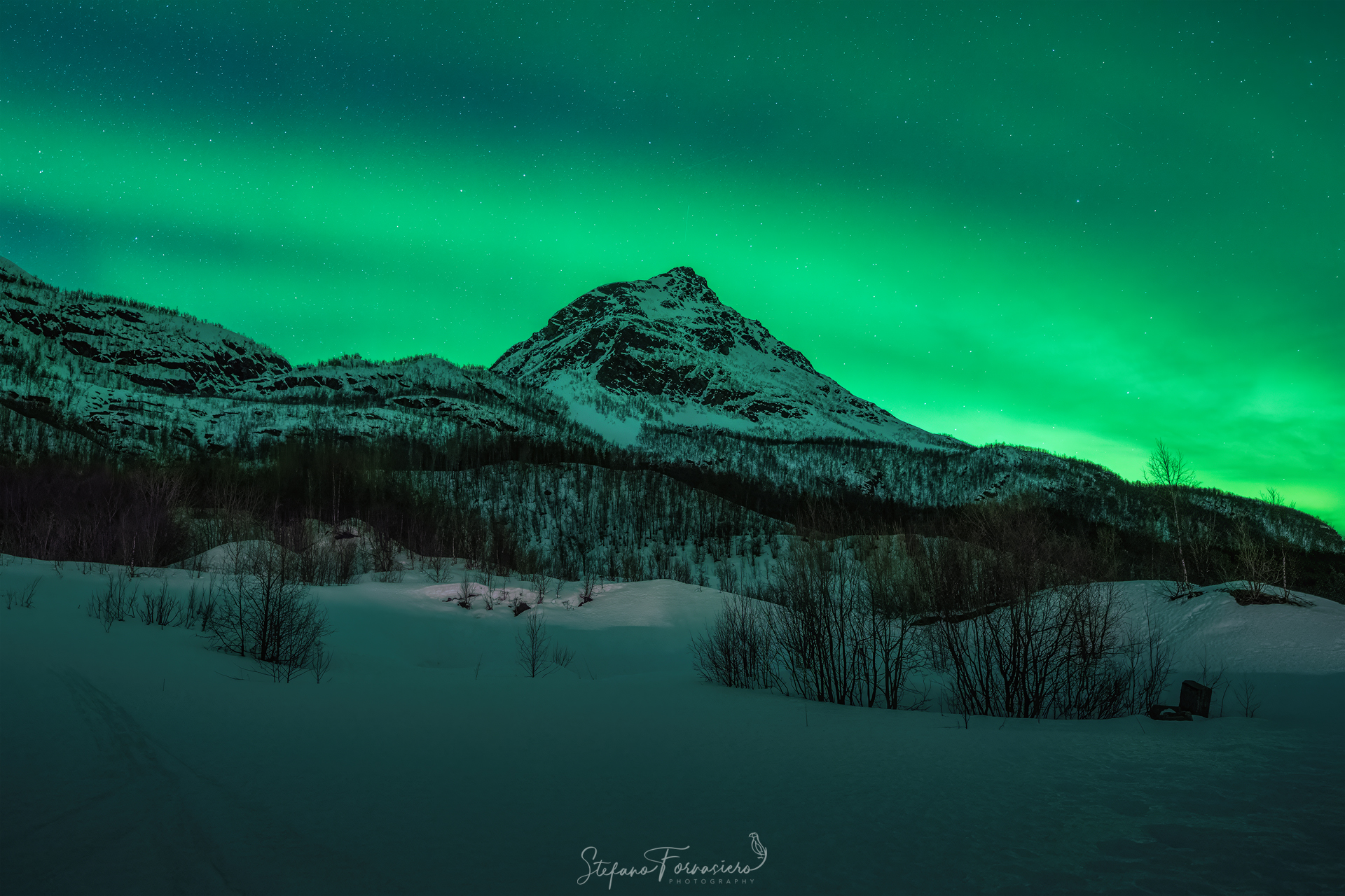 Laksvatn Aurora Borealis