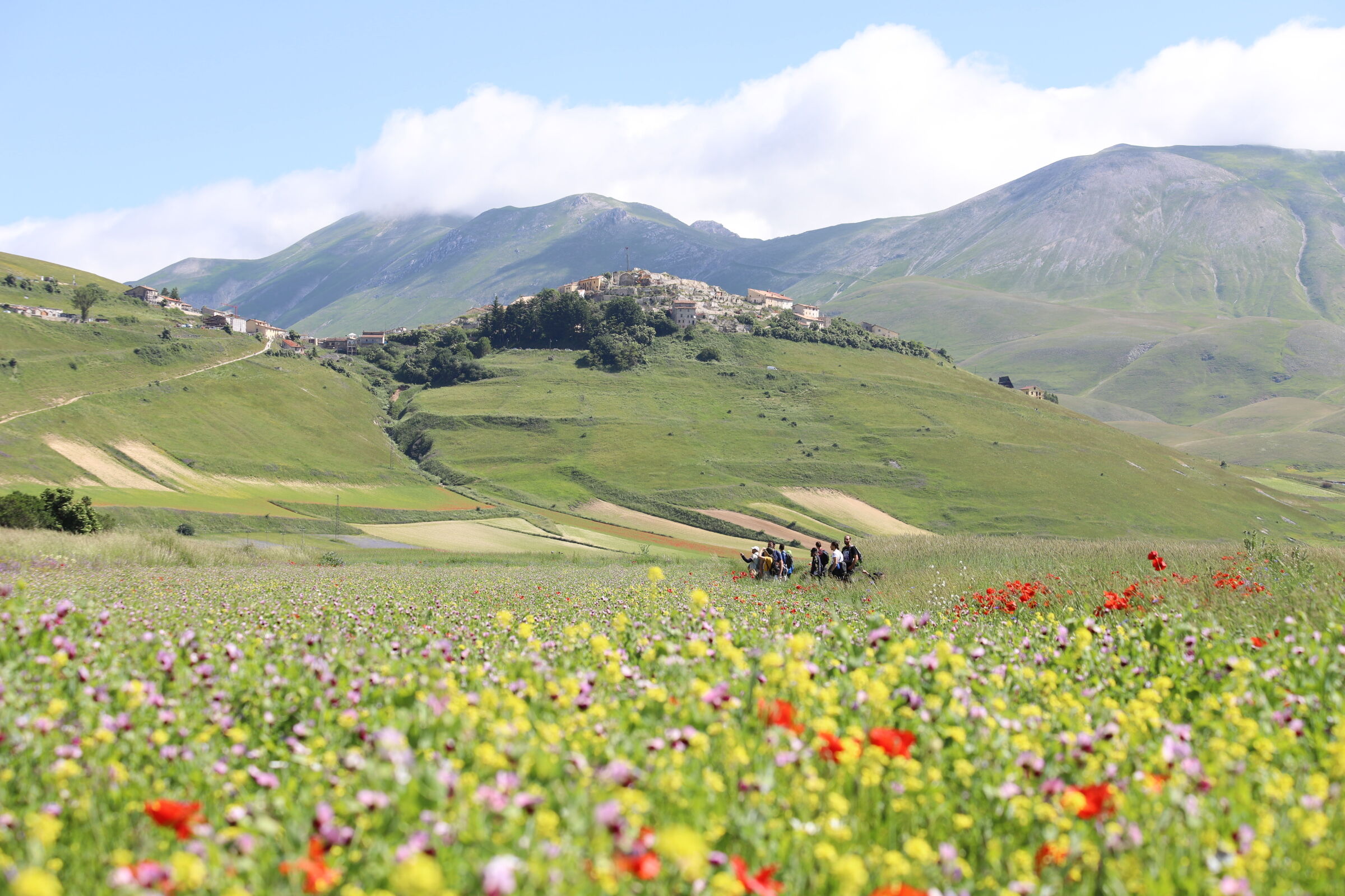 Castelluccio di Norcia