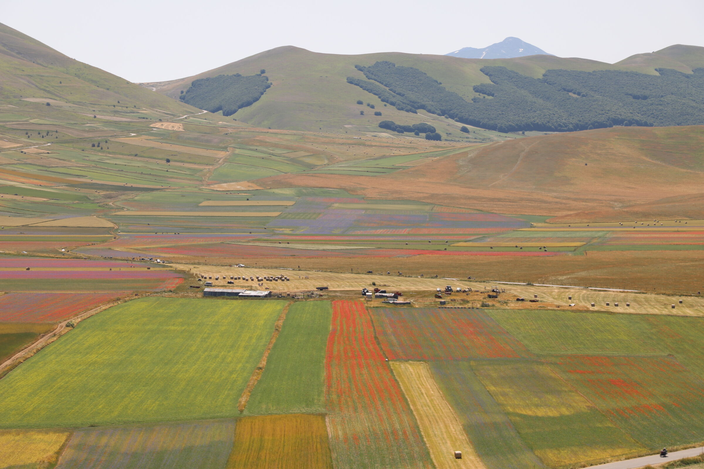 Castelluccio di Norcia