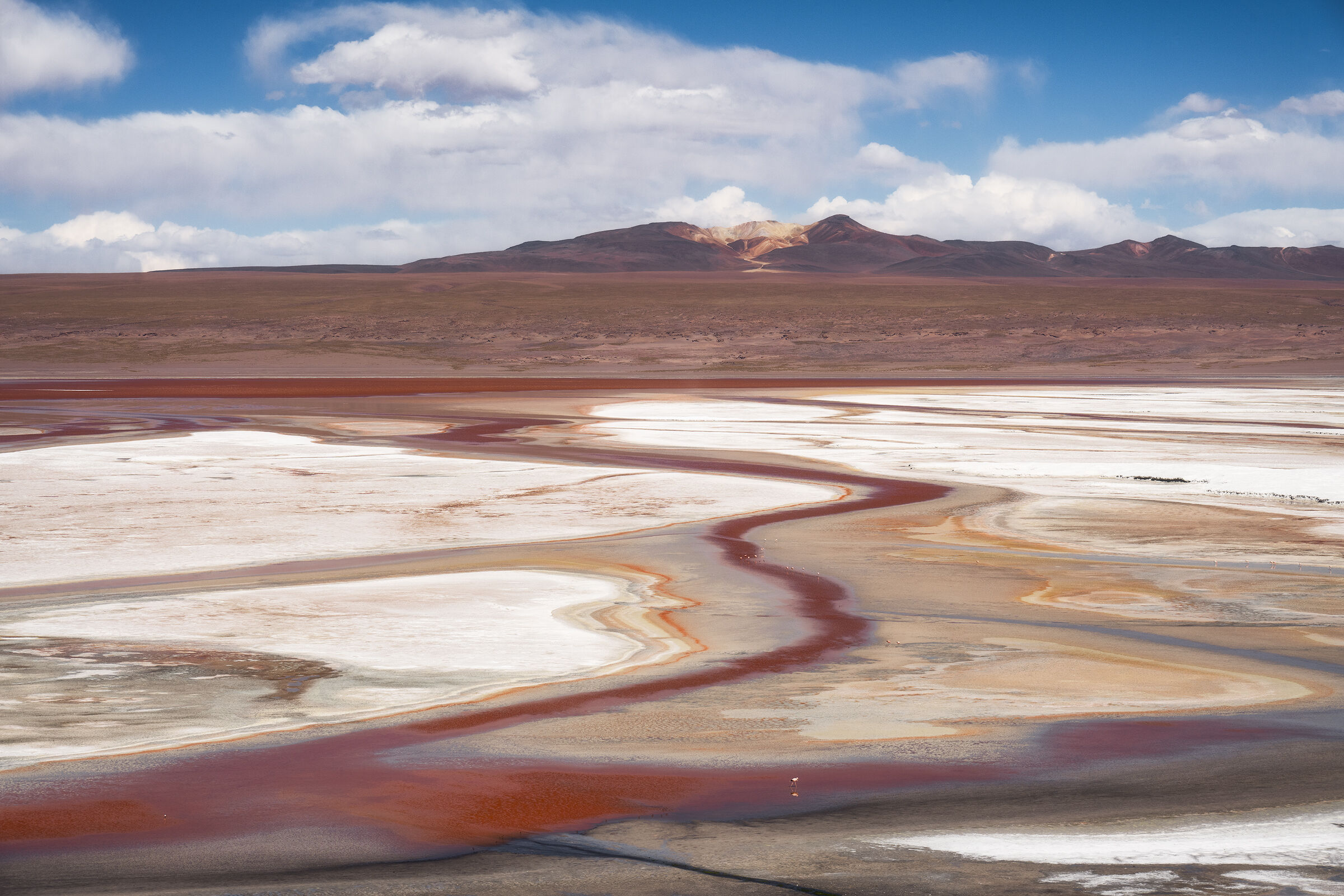 Laguna Colorada
