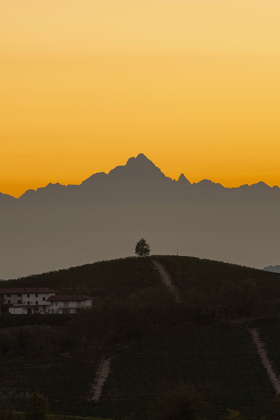 Allineamento perfetto