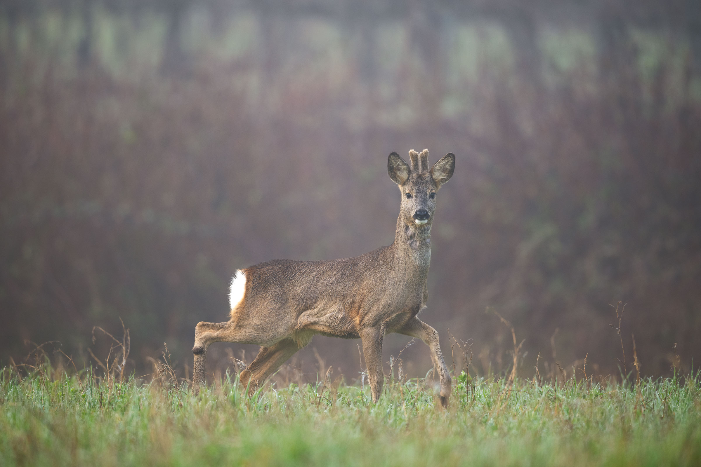 A handsome young man