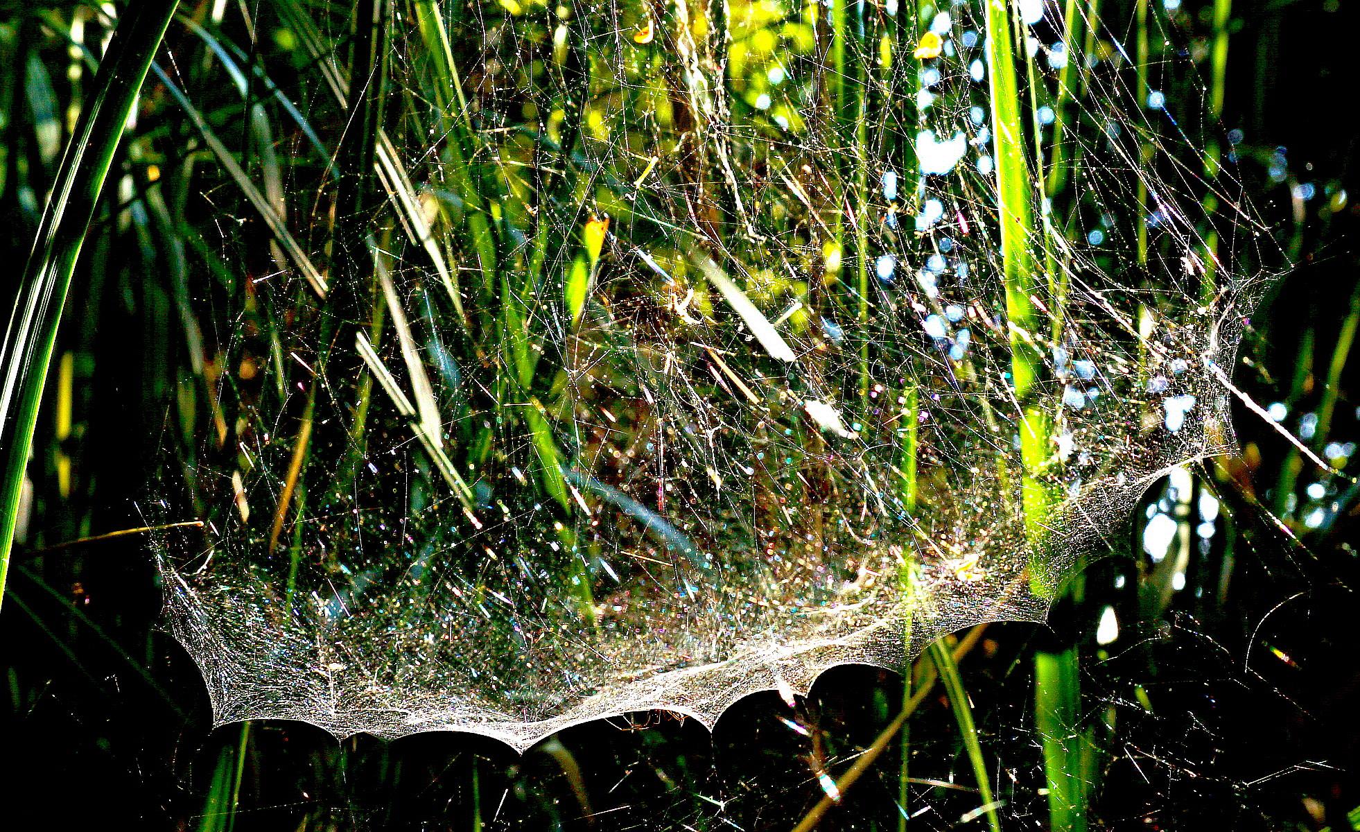 And thank goodness it's 7 mm!