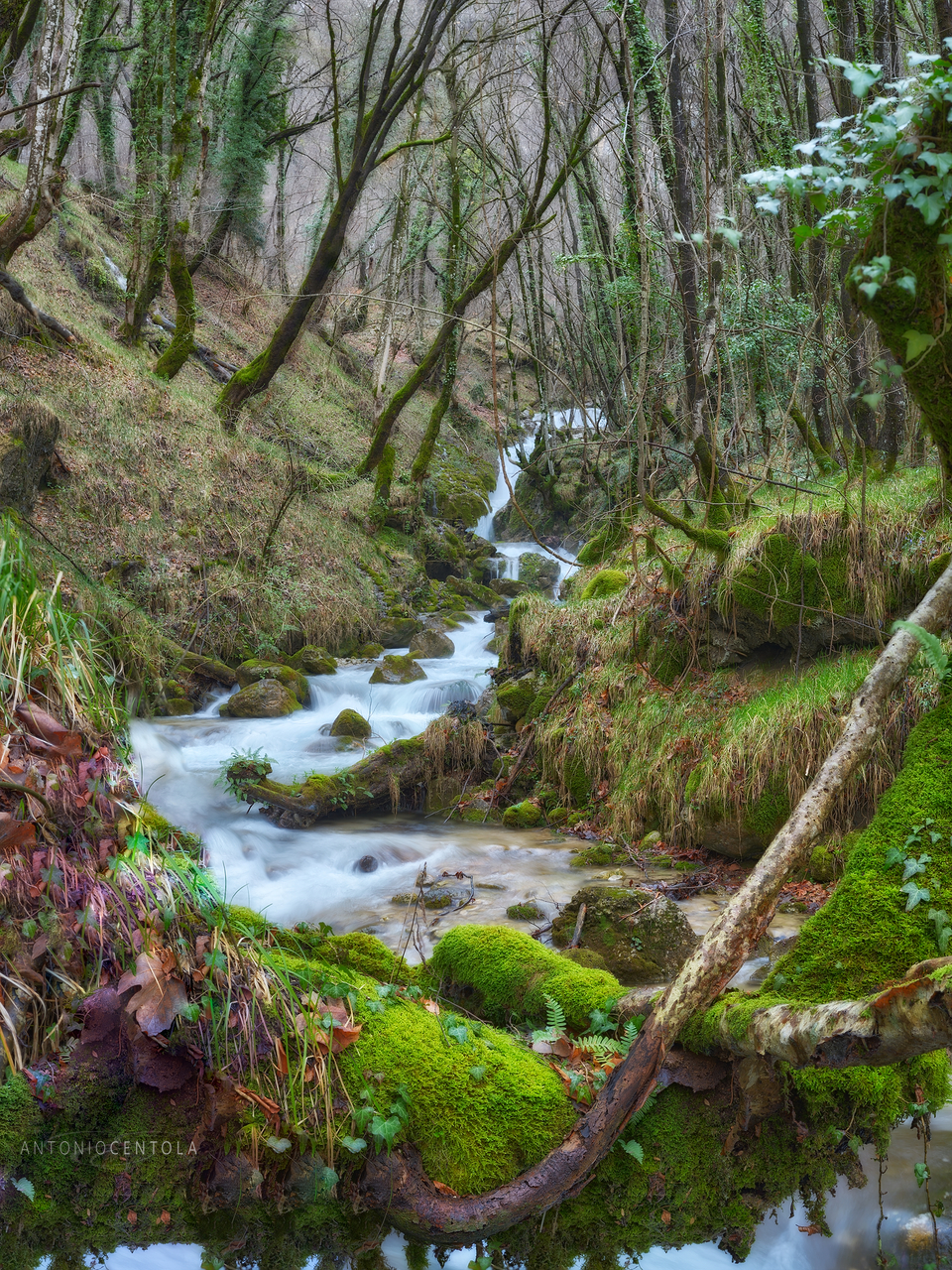 Piano piano incomincia a vedersi di nuovo il verde ?