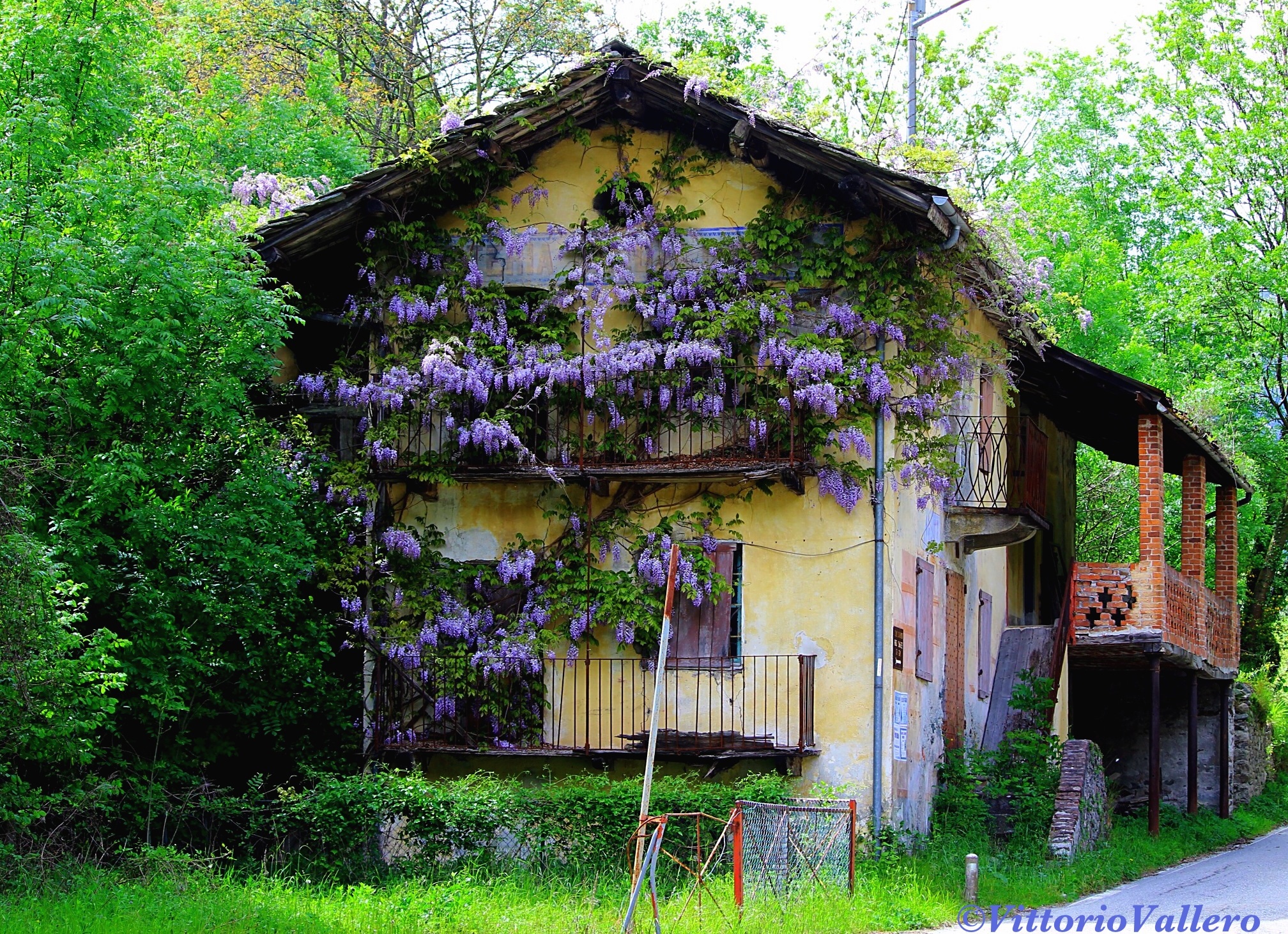 La casa profumata...