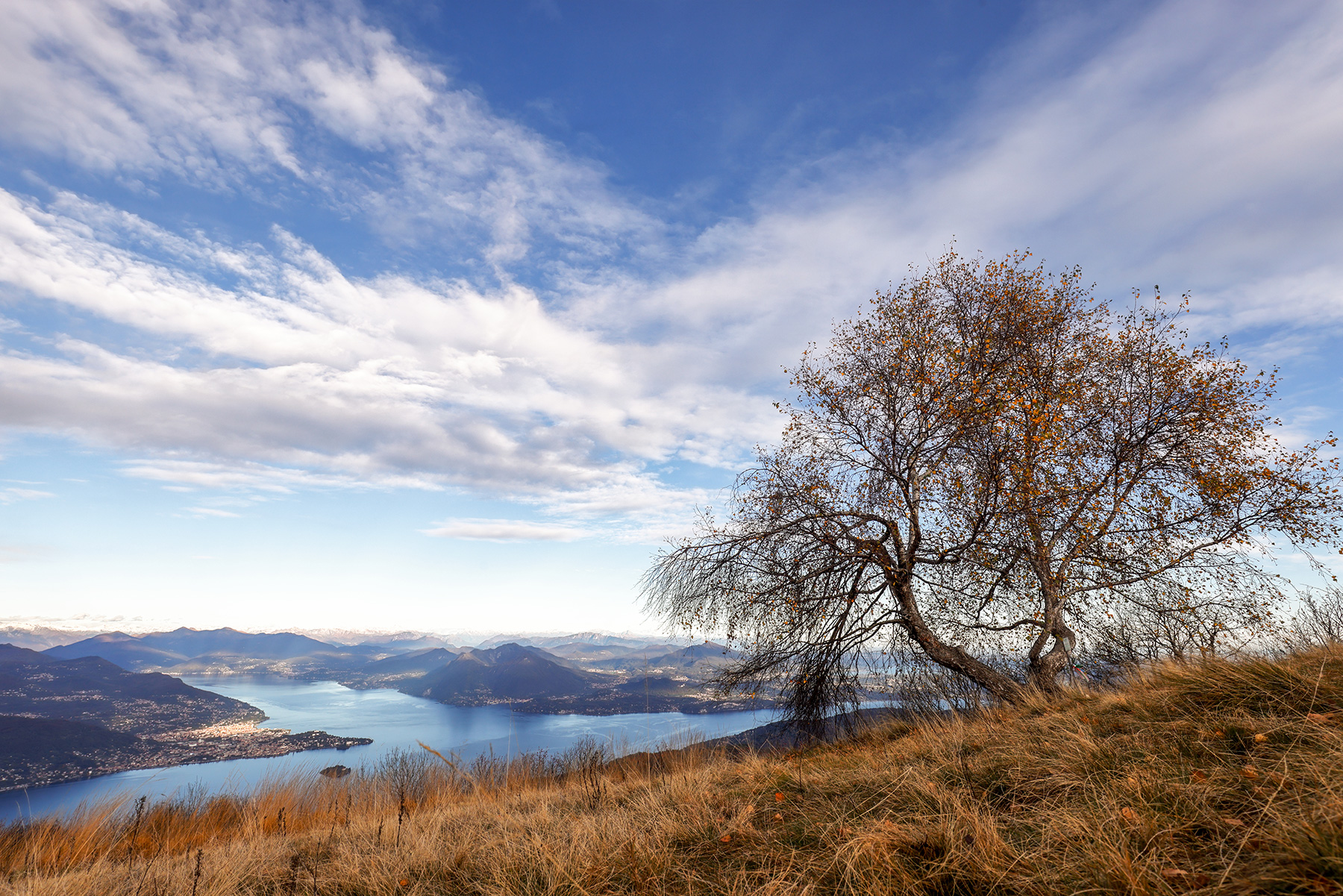 Lake Maggiore from the summit of Mottarone