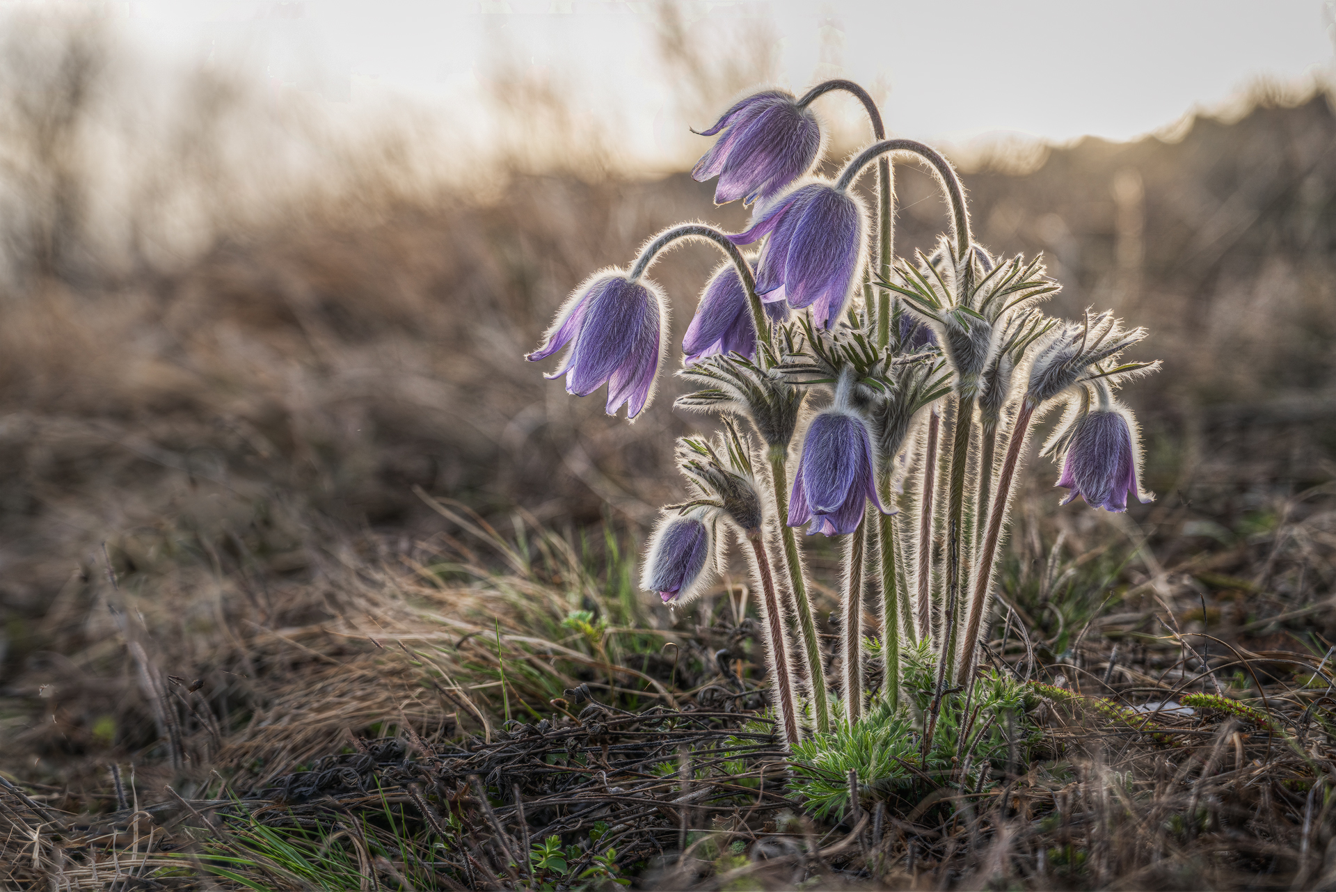 Between one downpour and another....