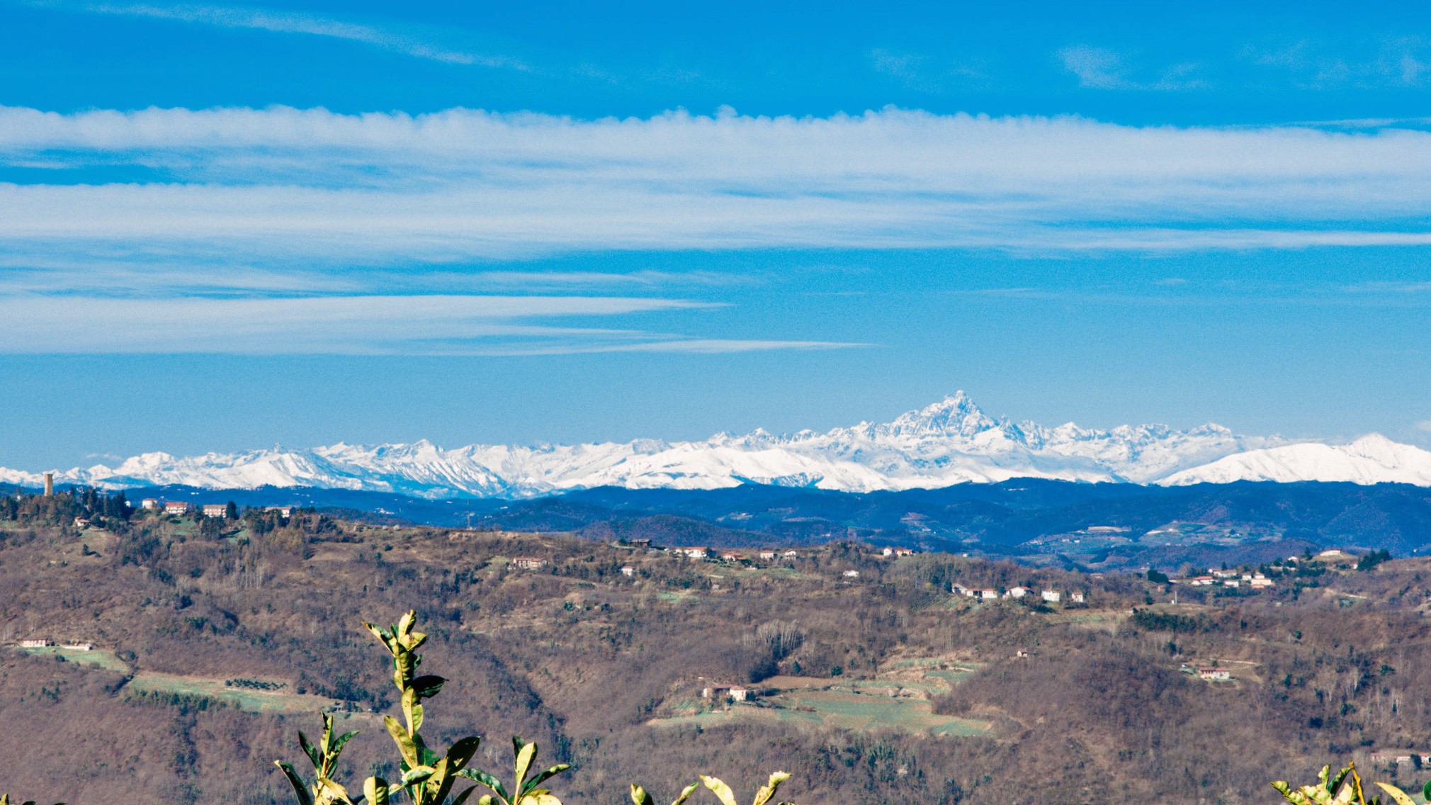 La neve fino in basso .....