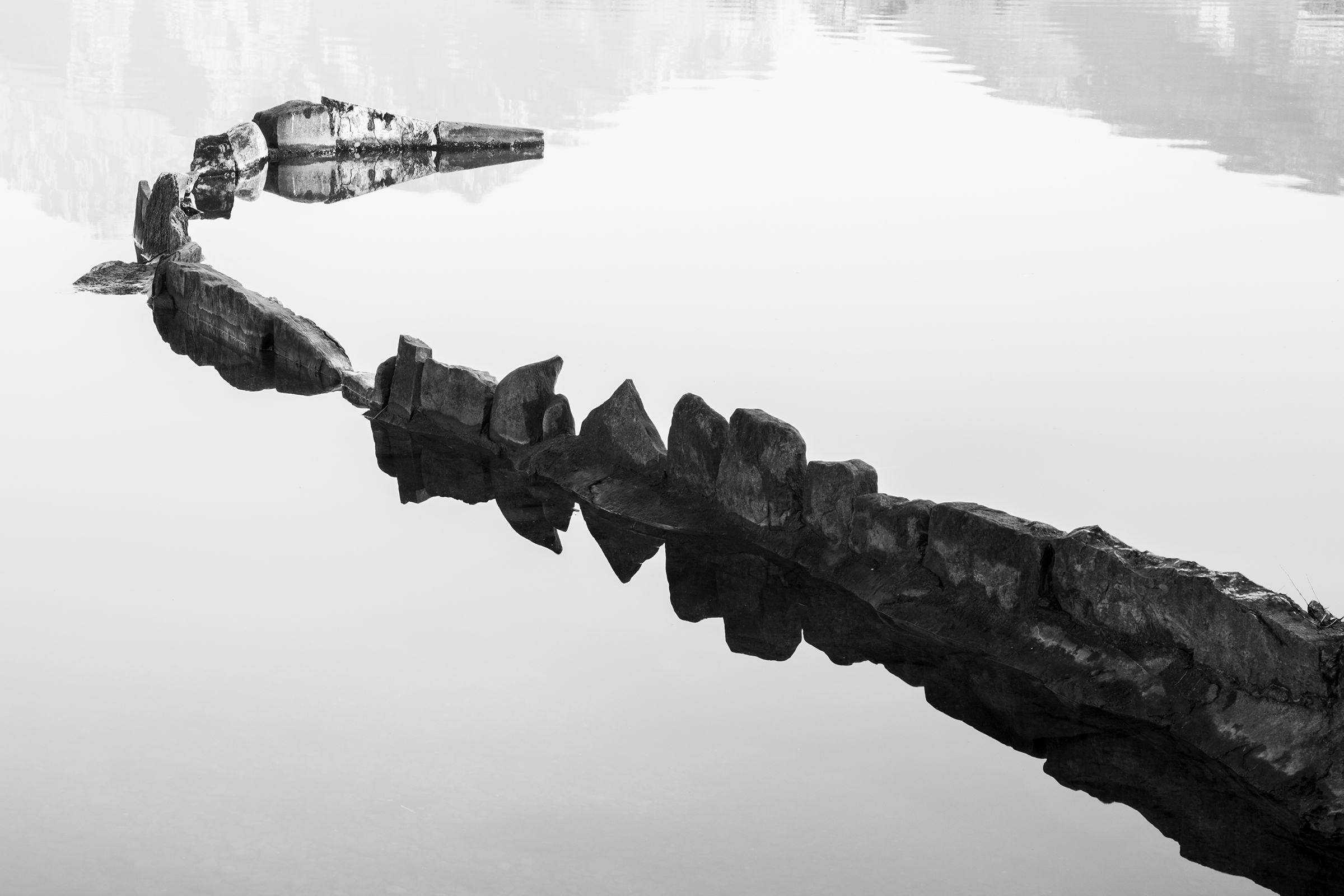 THE DRAGON OF THE LAKE