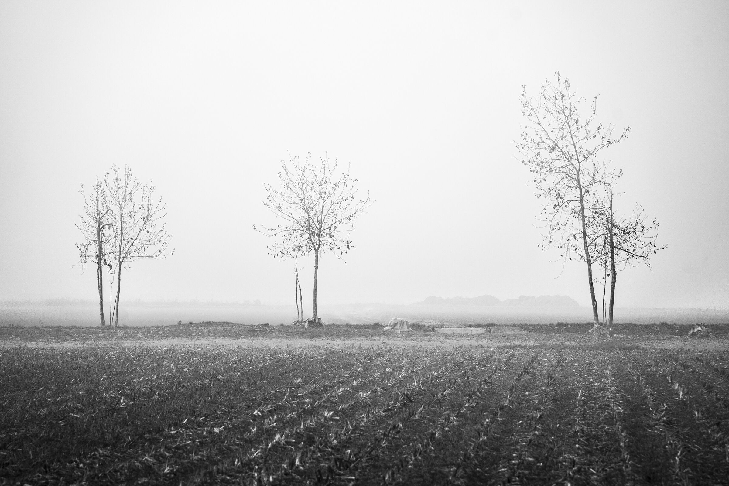 i tre amici per sempre