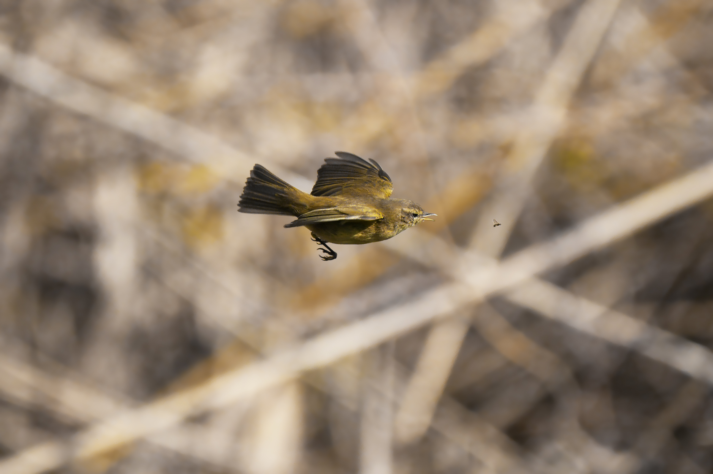 on the hunt2