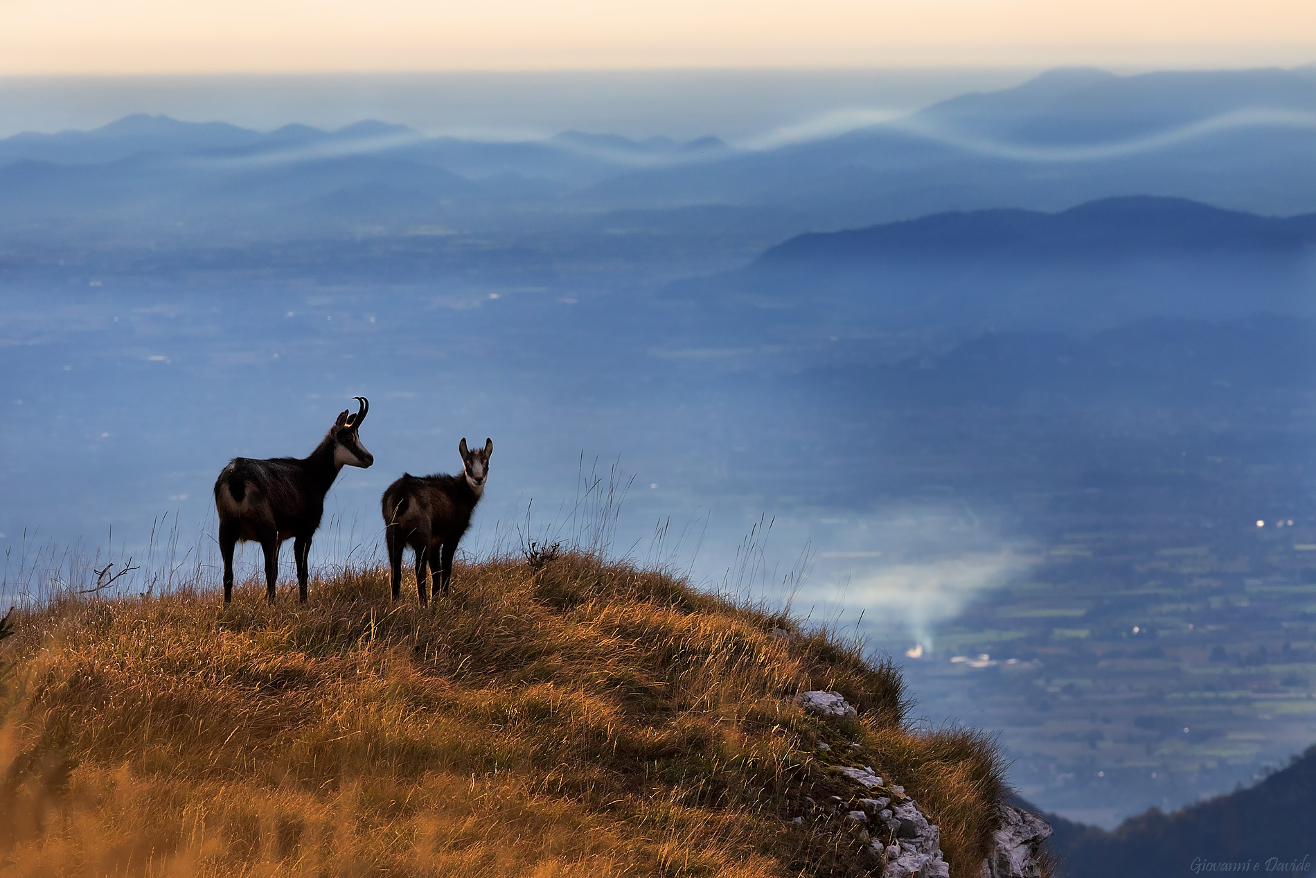 ...Tra natura e inquinamento...