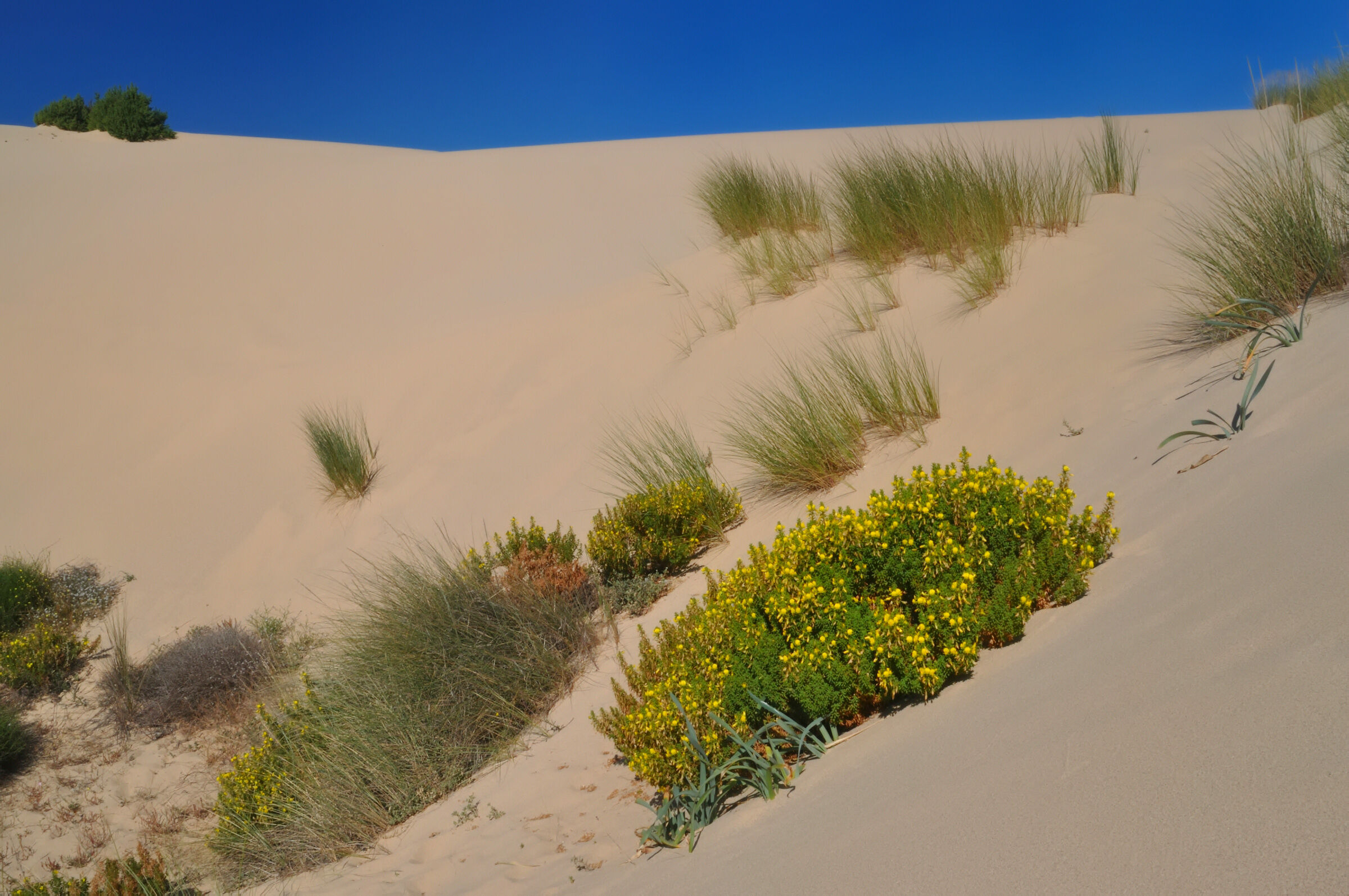 Dune di Piscinas Arbus