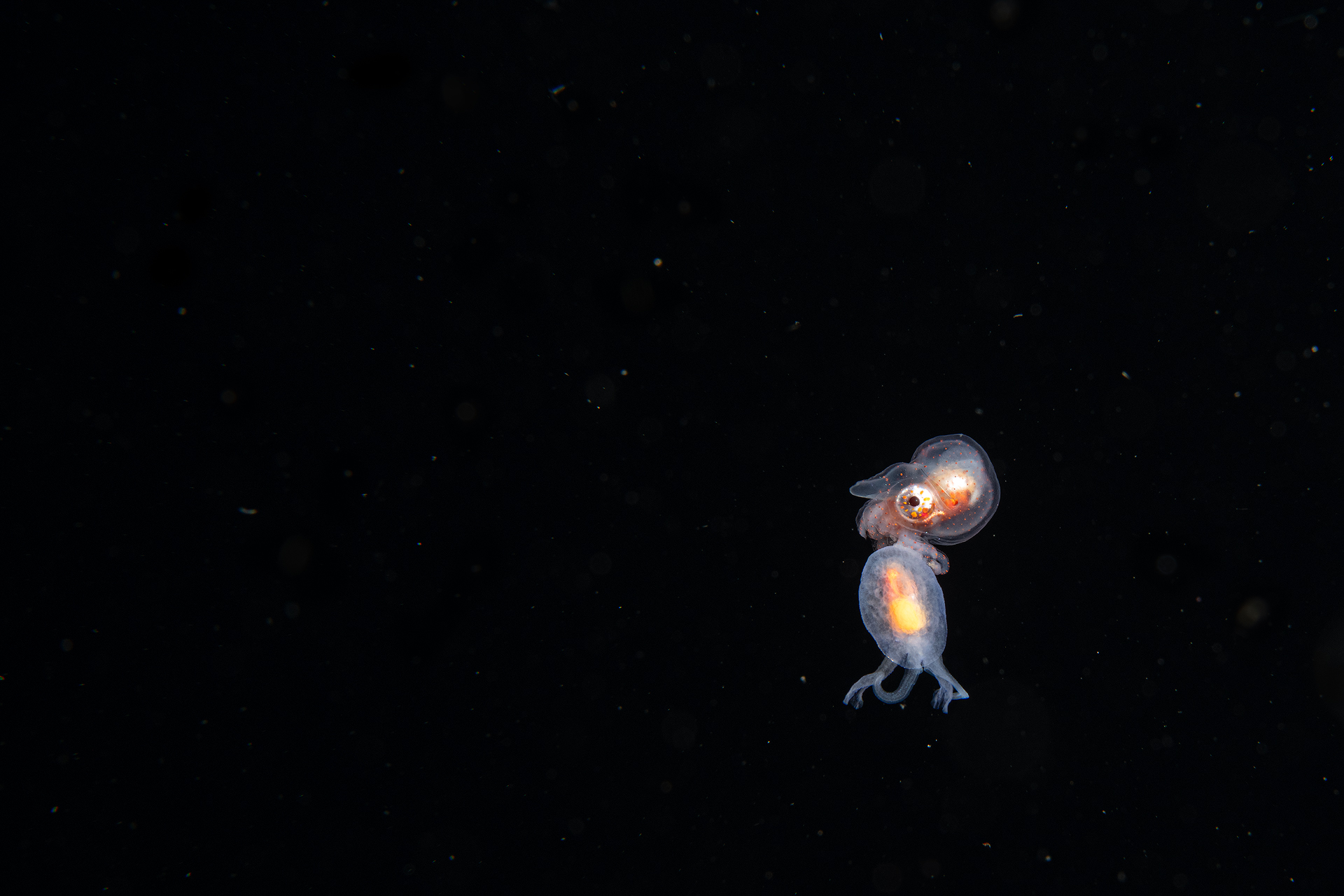 Walking in deep space