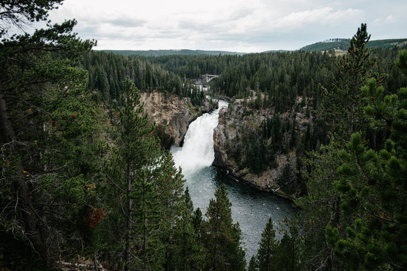 Grand Canyon of the Yellowstone, WY.