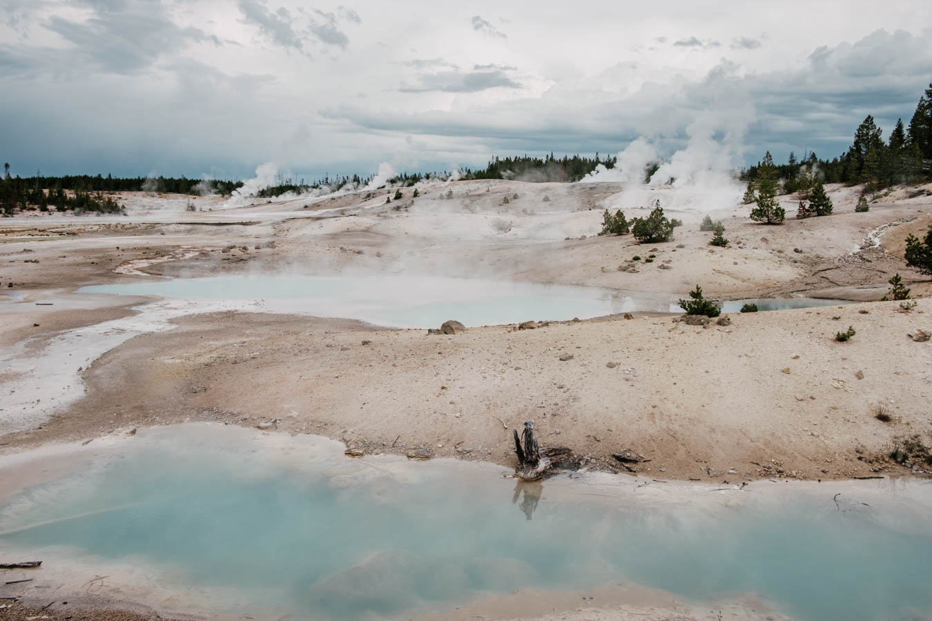 Norris Geyser Basin, Yellowstone, WY.