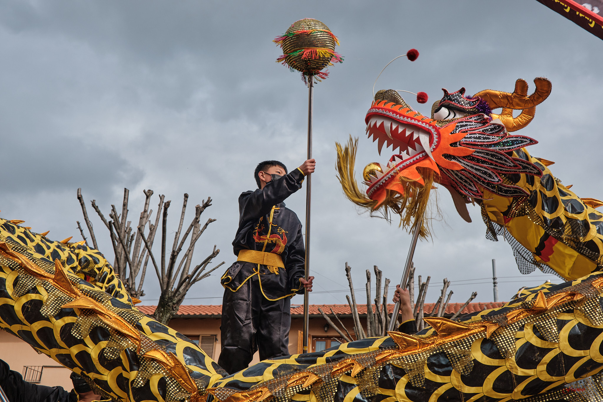 The Dragon Parade 2024 #3