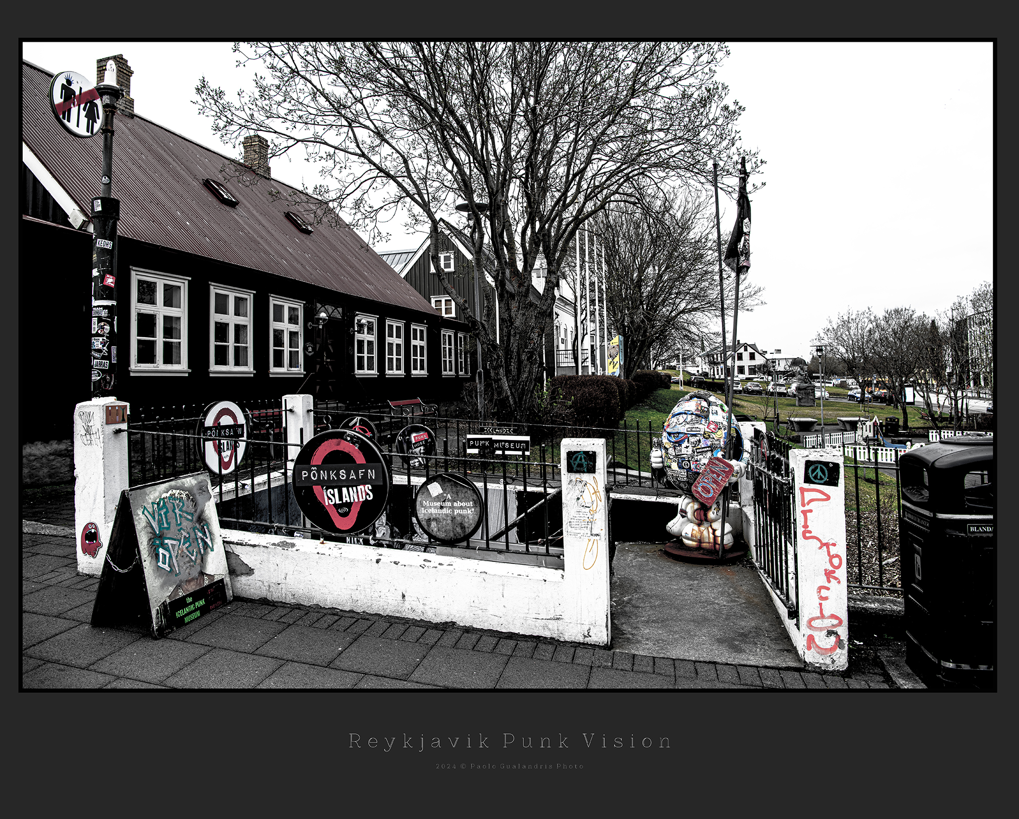 Reykjavik Punk Vision