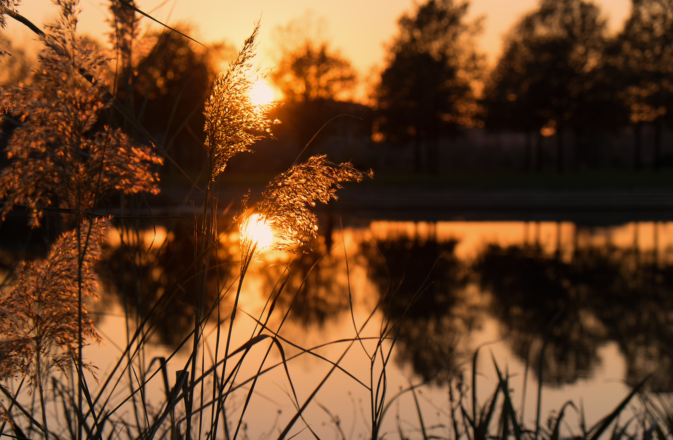 tramonto sul laghetto