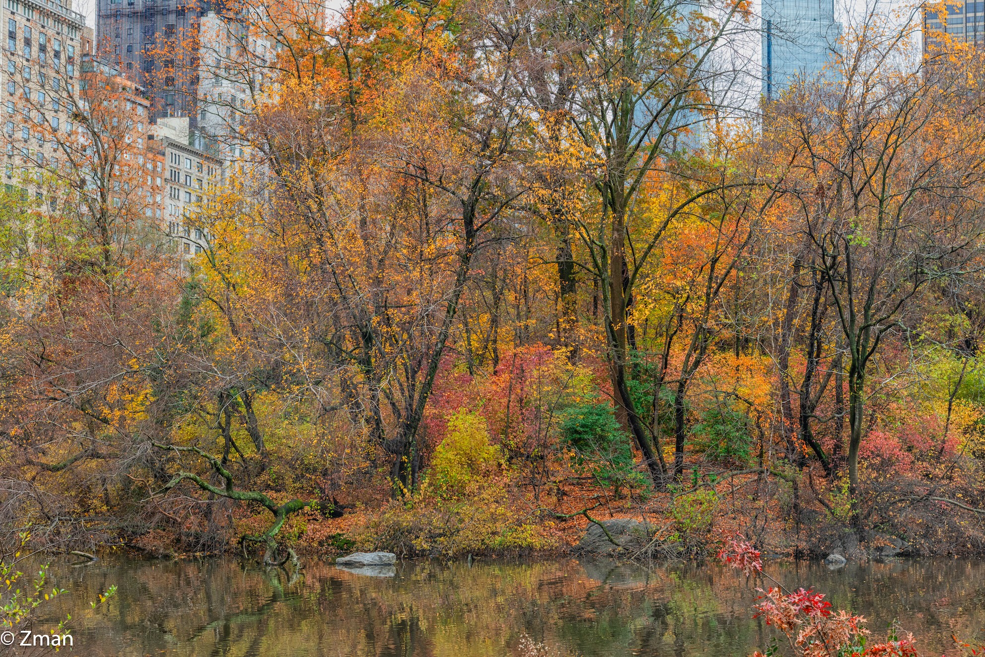 Central Park Colors NY