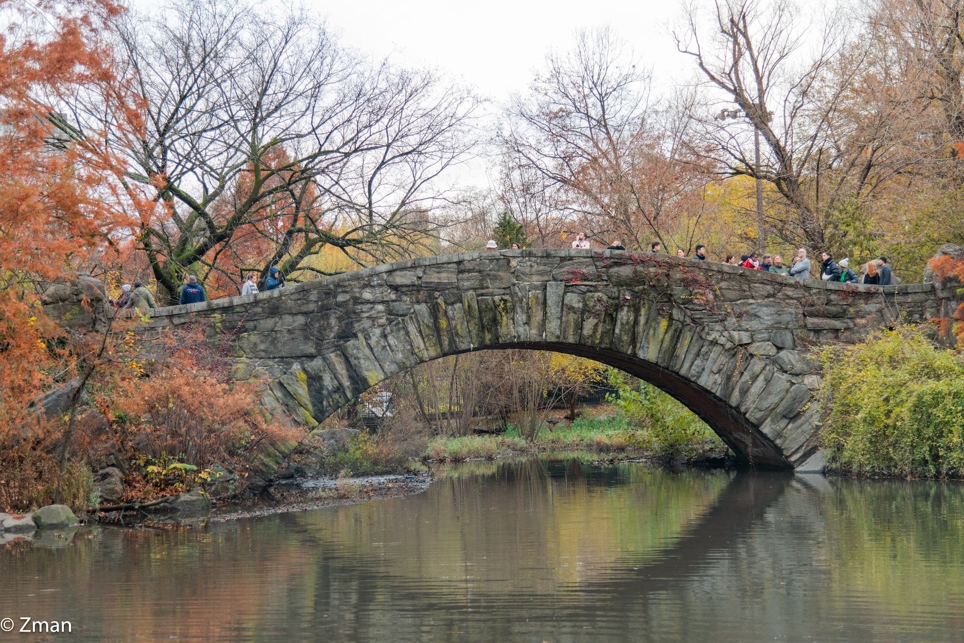 Colori di Central Park NY