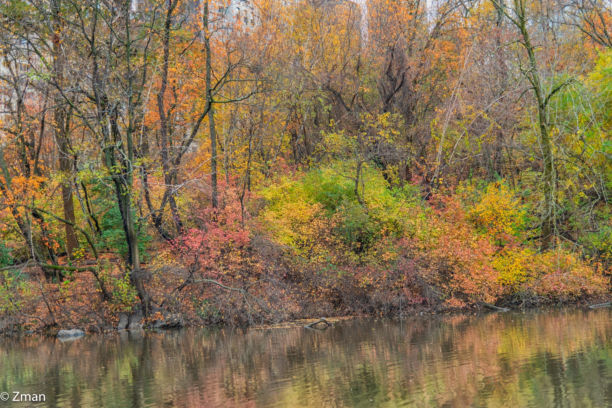 Colori di Central Park NY