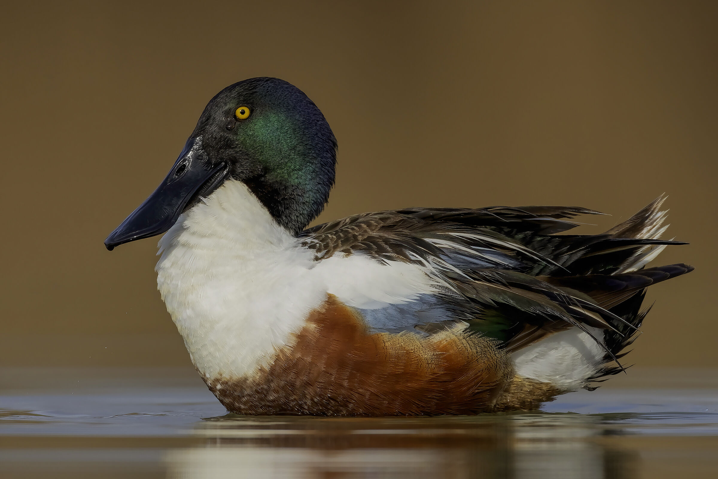 Non piangere x me ...