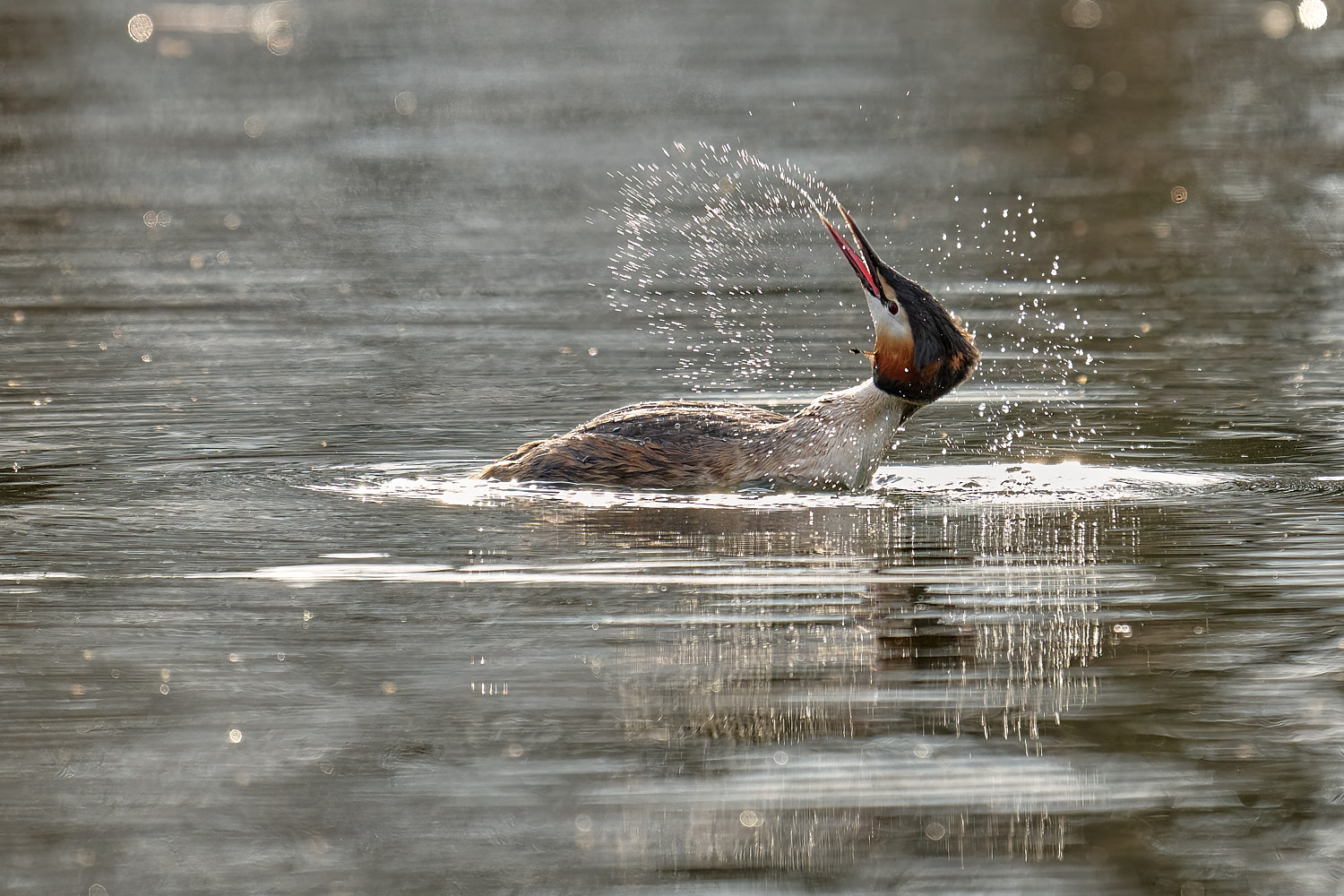 Giochi d'acqua