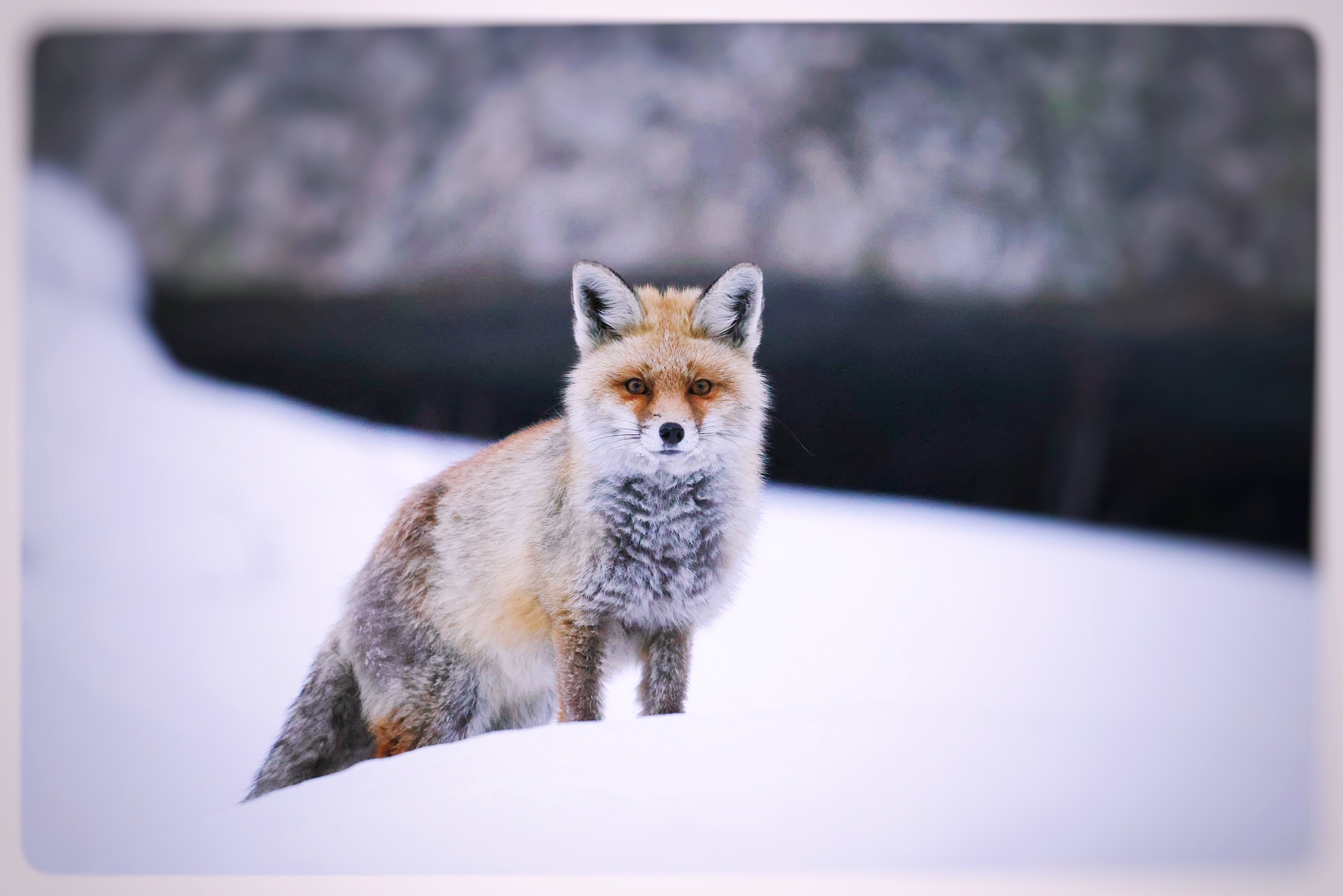 In armonia con la natura