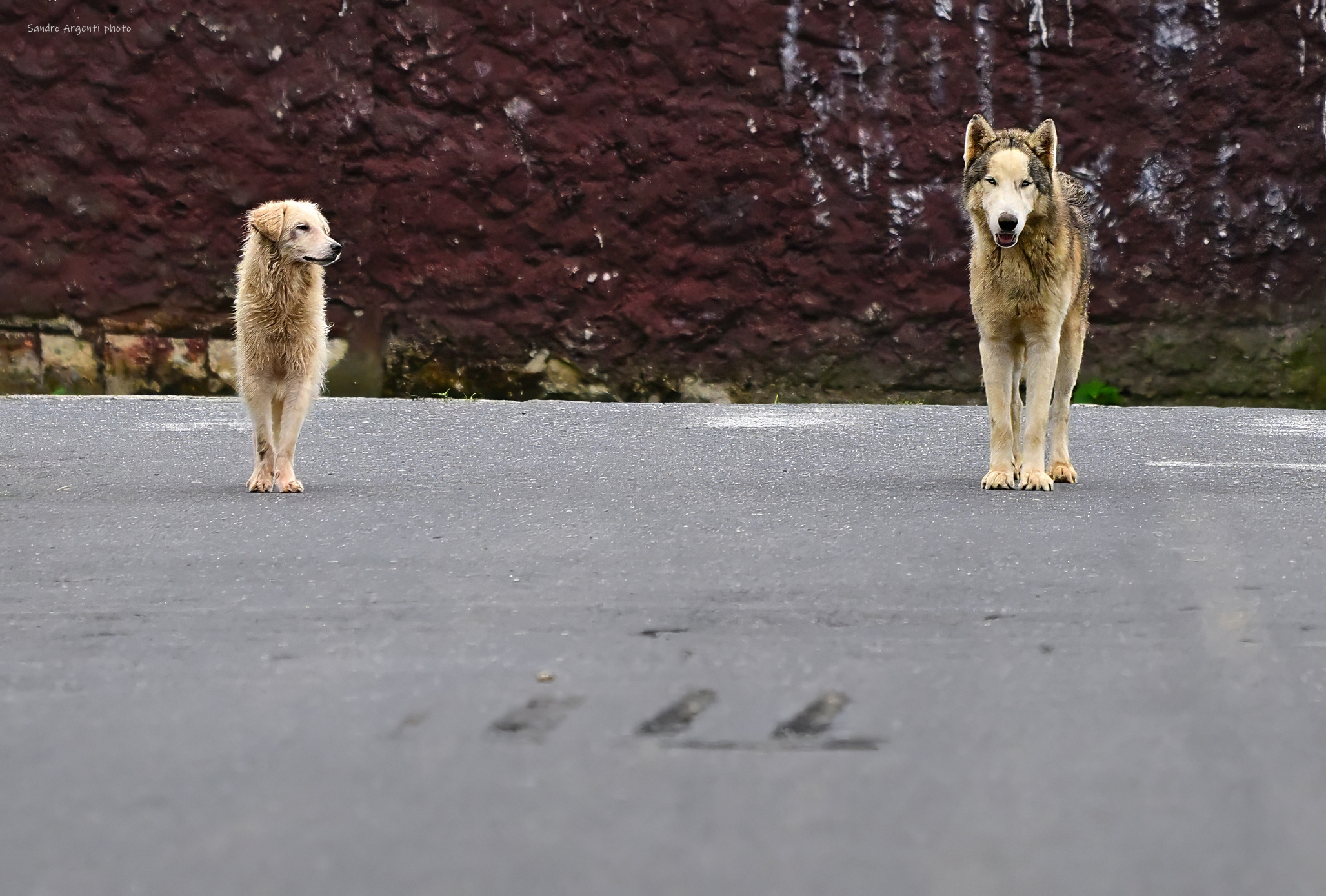 Sguardi. Ecuador. Nikon Z9 con Nikon 70-200mm.