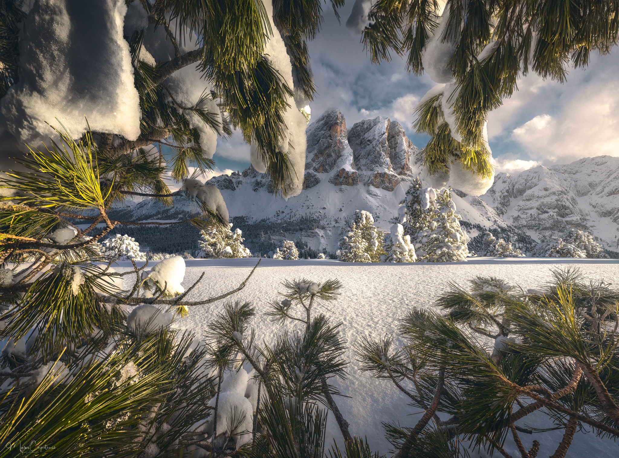 Guardians of the Frame