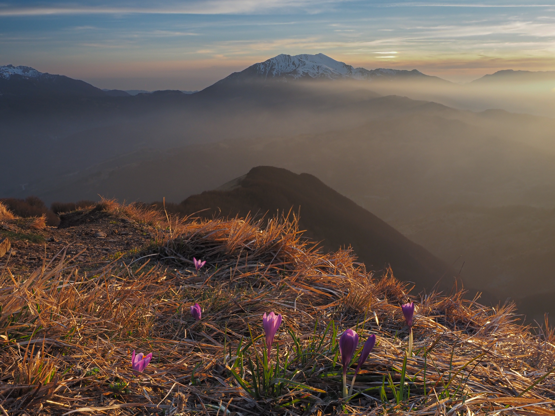 20-03-2024 Primavera