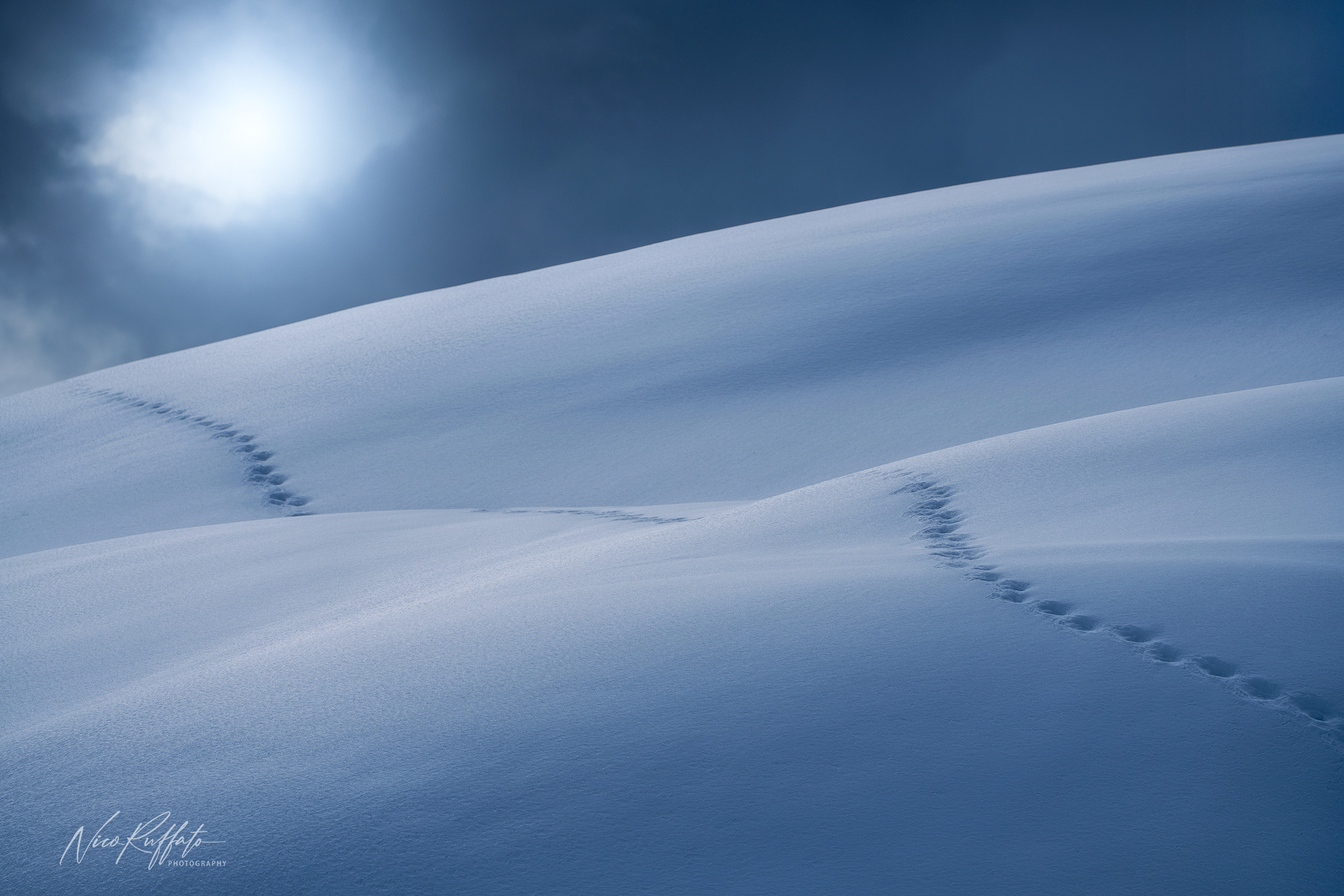 Tracks