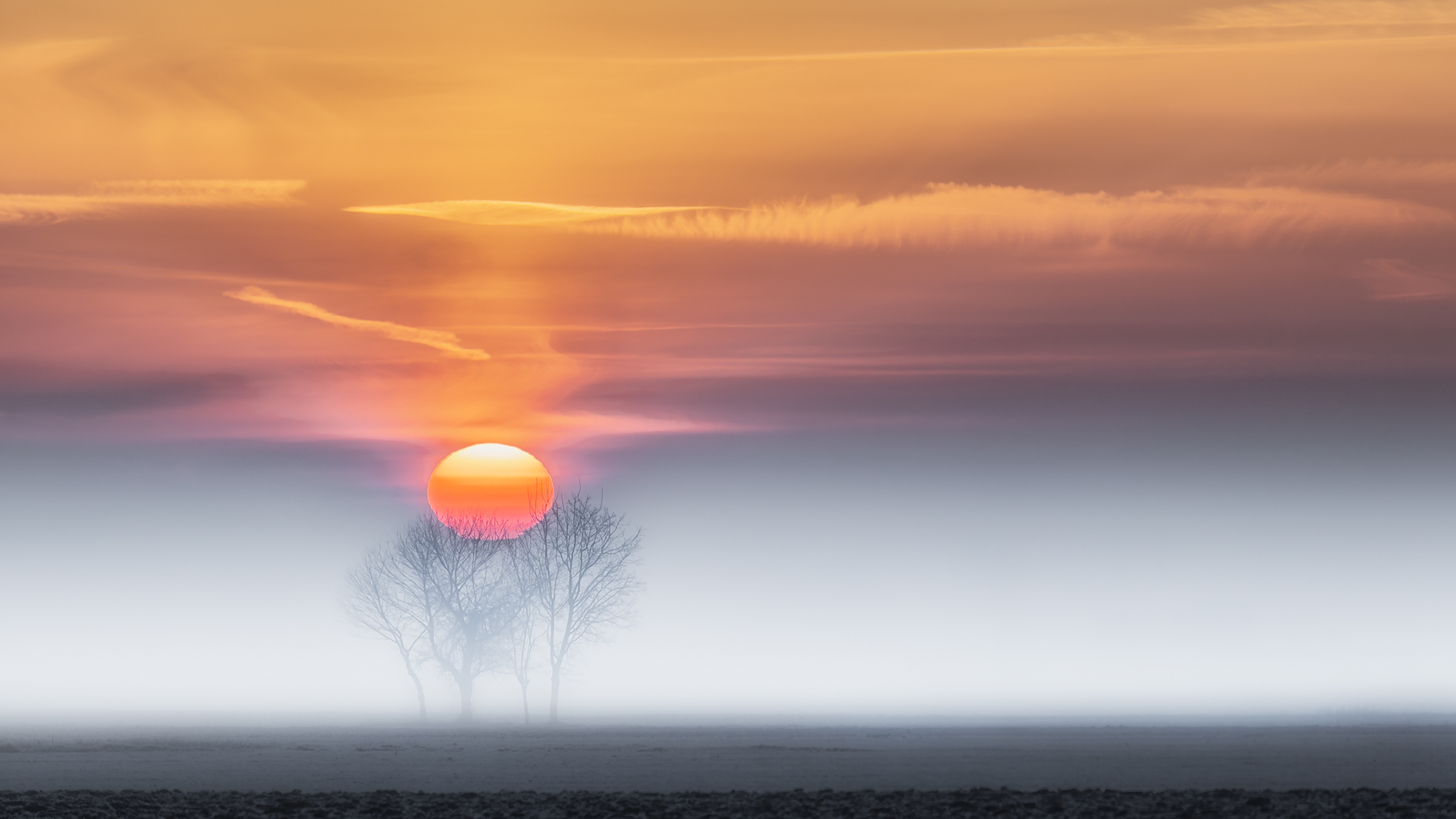 Alba