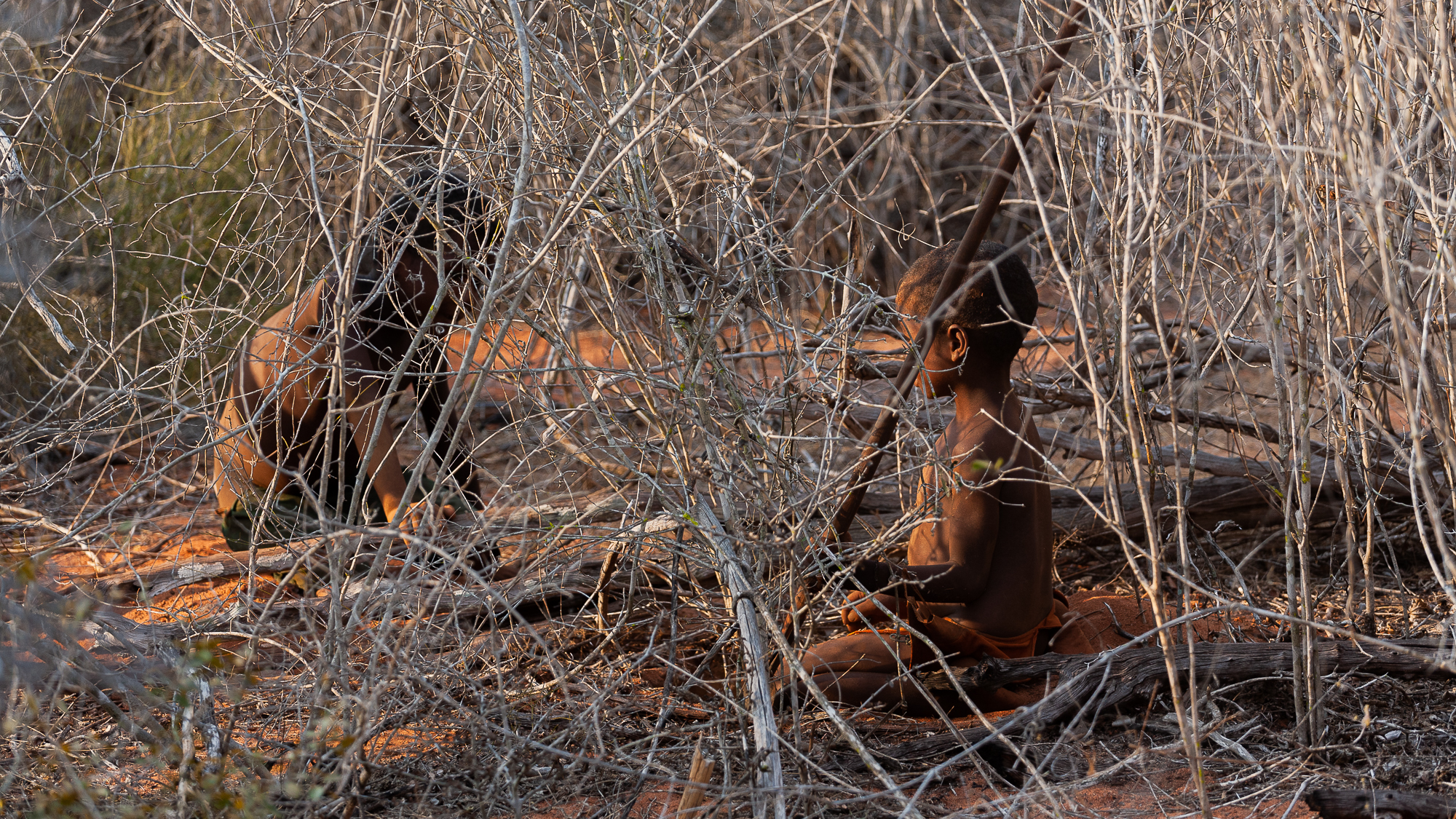 Mikea - Madagascar 2019 - Inchiesta / Reportage