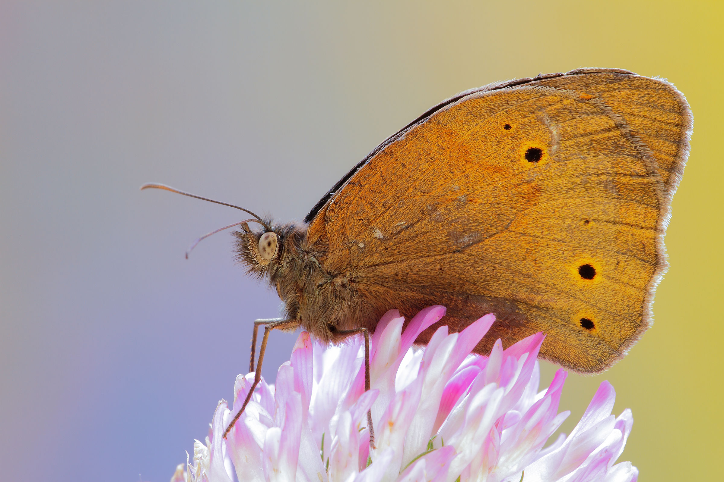 primo giorno di scuola