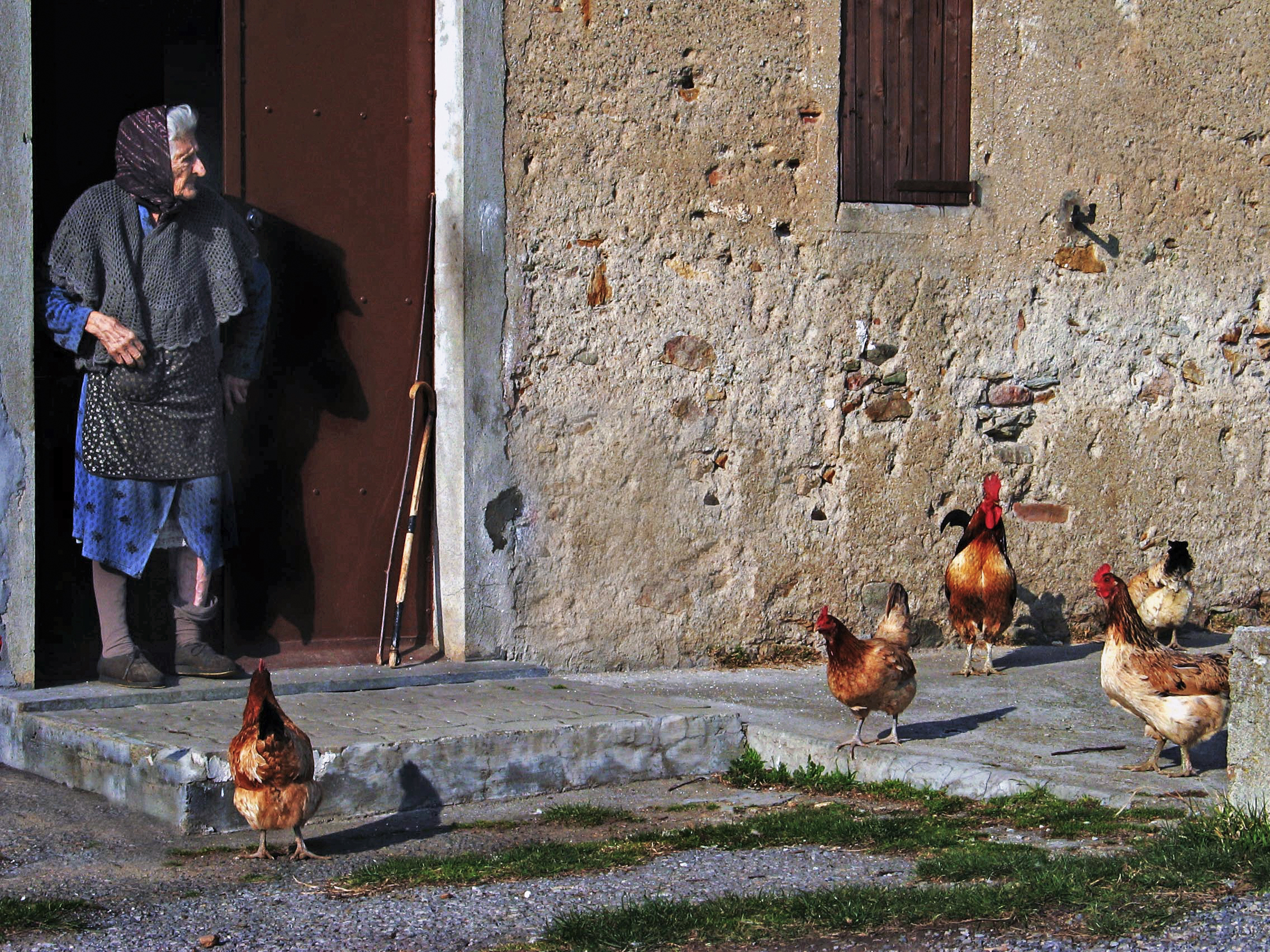Il controllore dell'aia ... una vecchietta di carattere