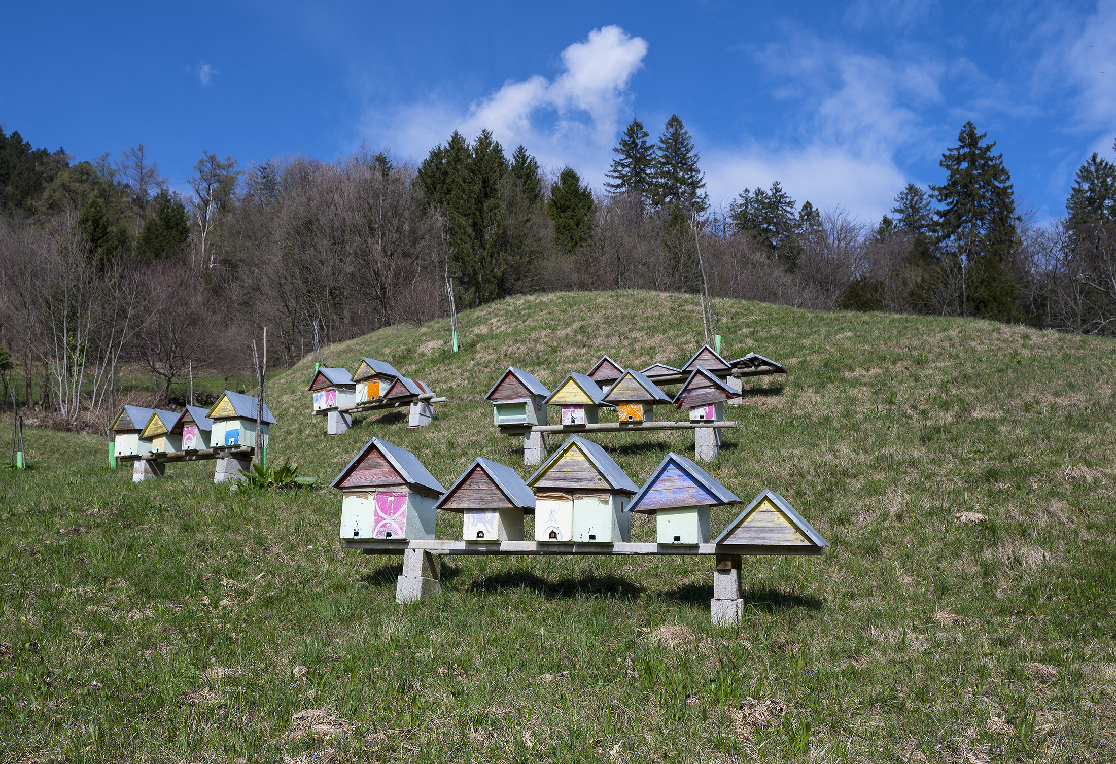 Il villaggio sospeso 3