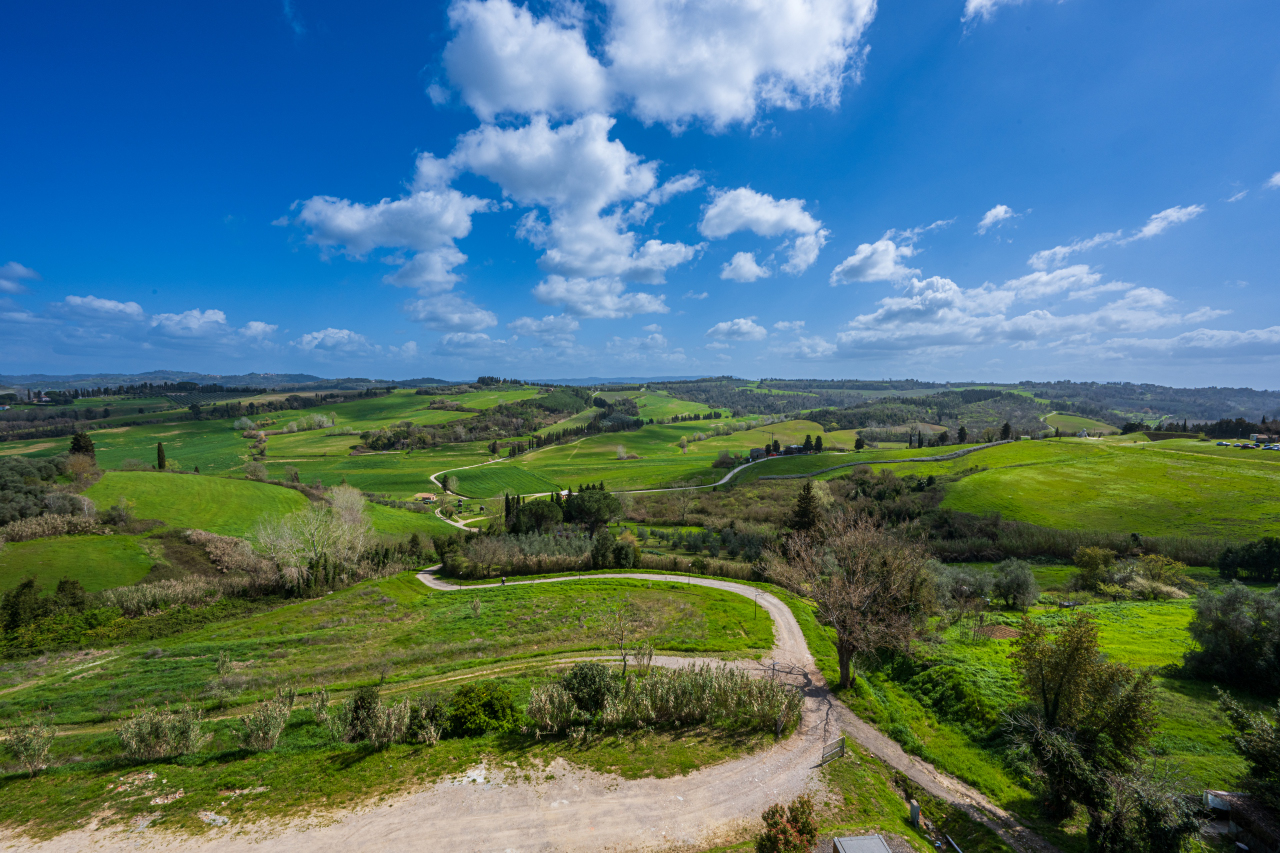 Peccioli. PI - The Tuscan countryside