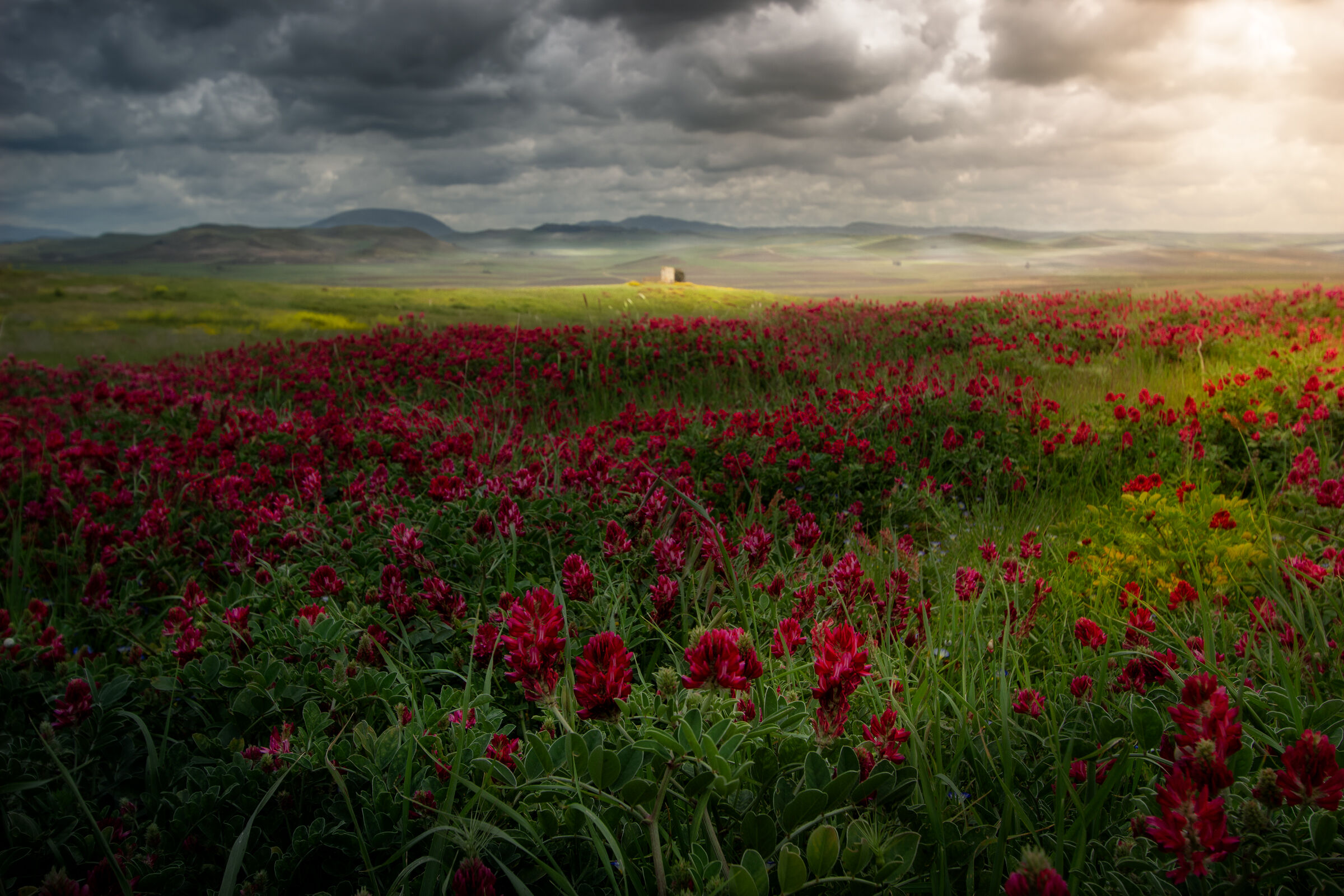 Visions in the countryside