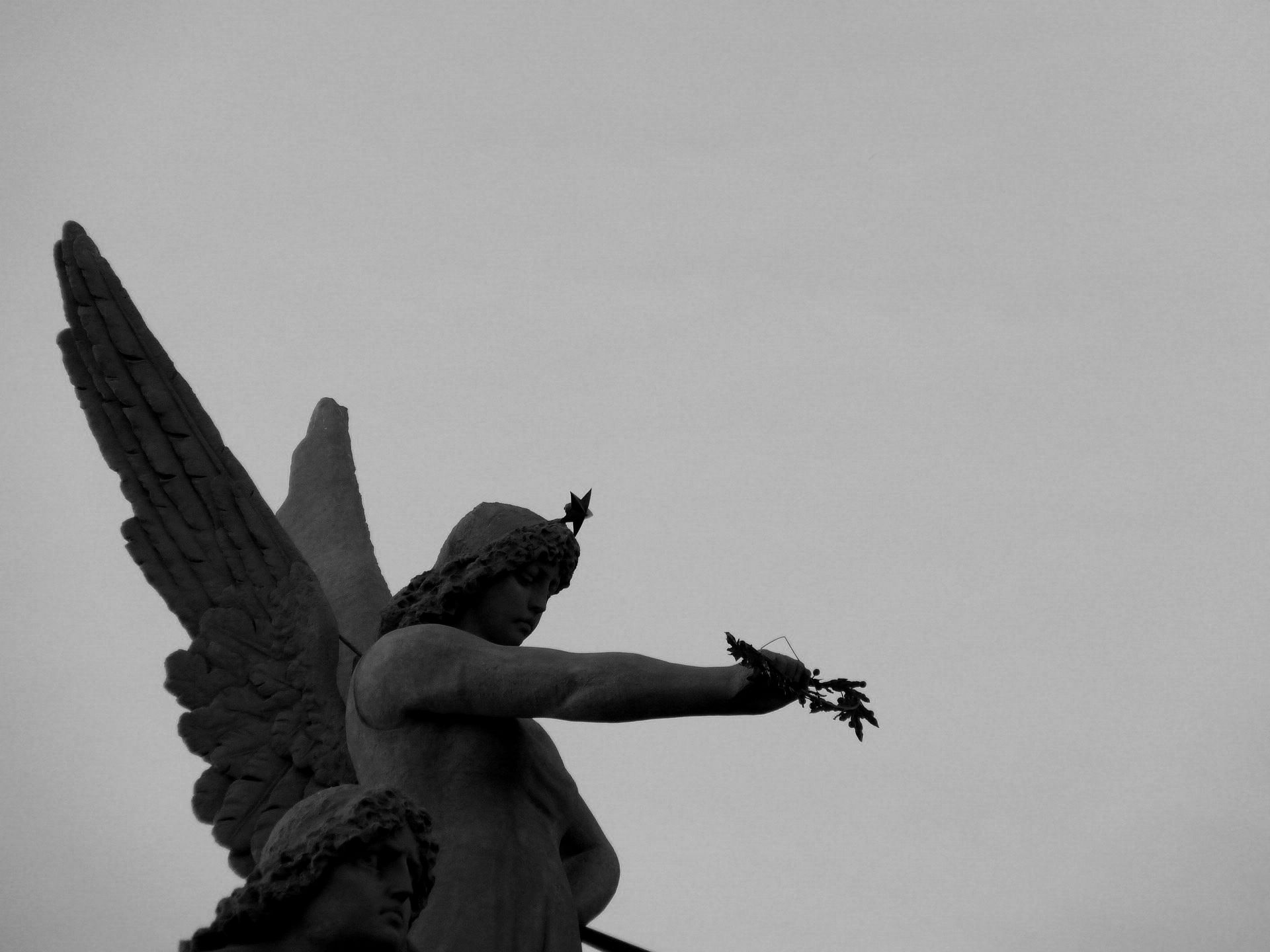 the sky above Bologna