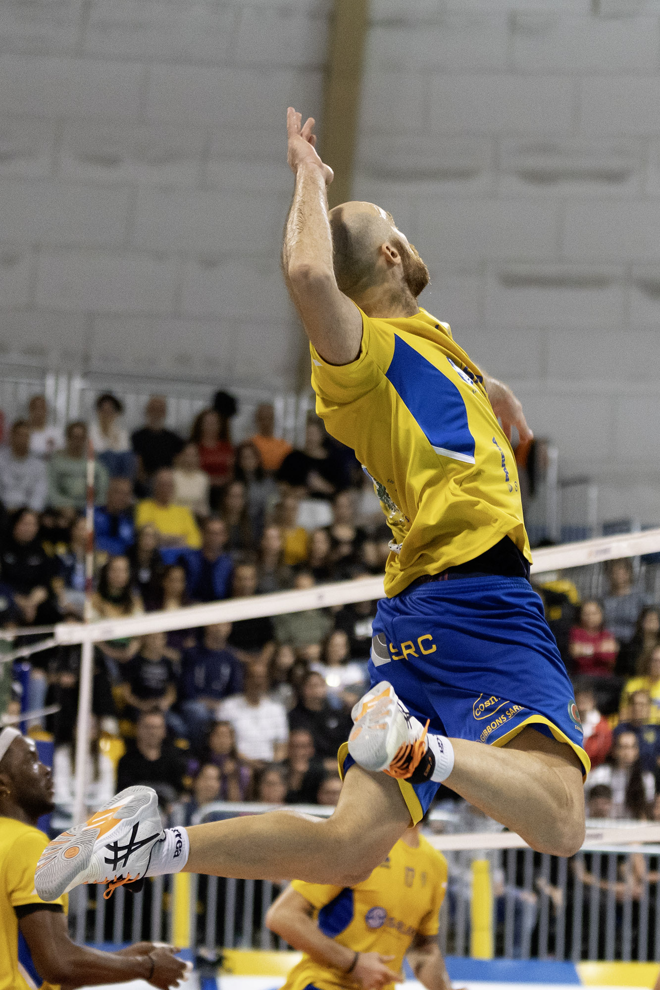 Volleyball A3 series