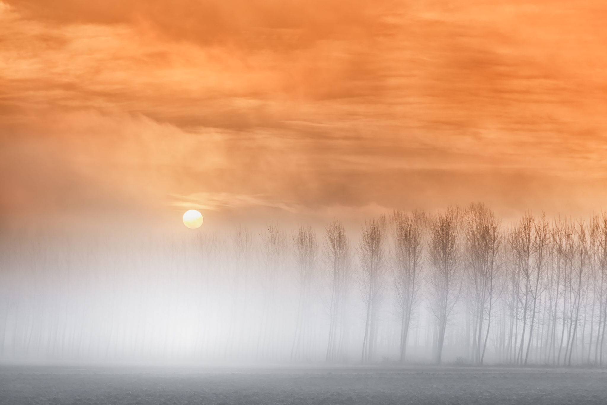 Brume mattutine