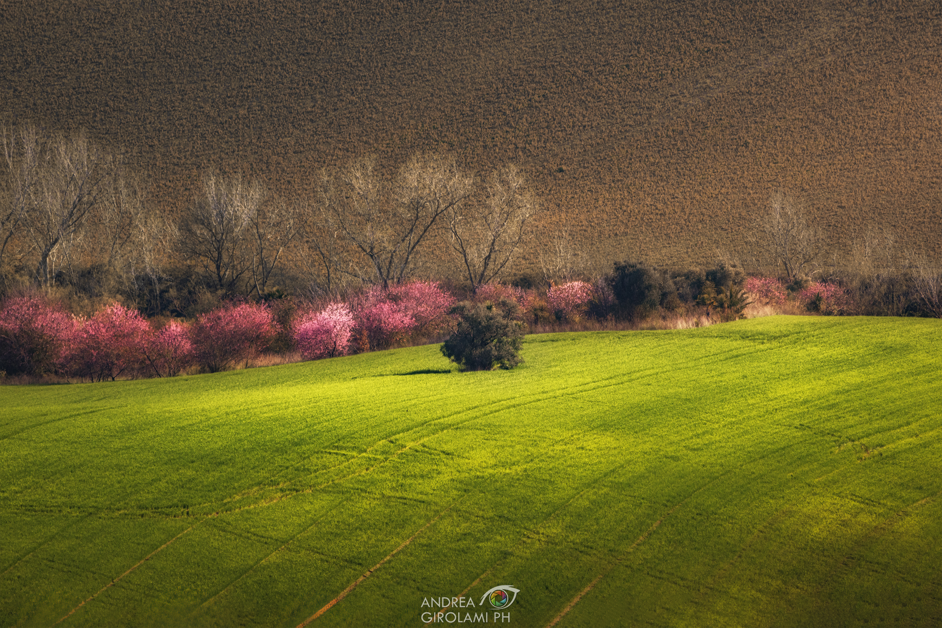 Colonnella - Abruzzo