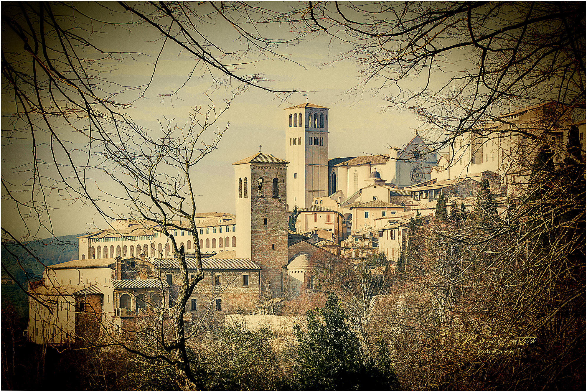 my Assisi