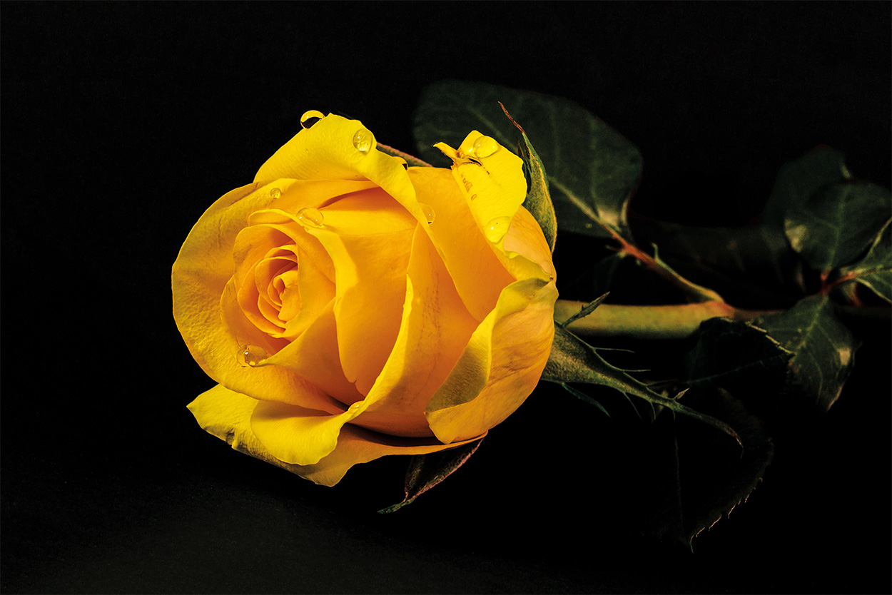 Buona Pasqua a tutti gli amici Juzzini